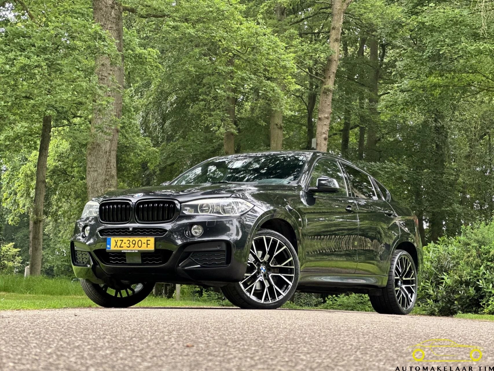 Hoofdafbeelding BMW X6