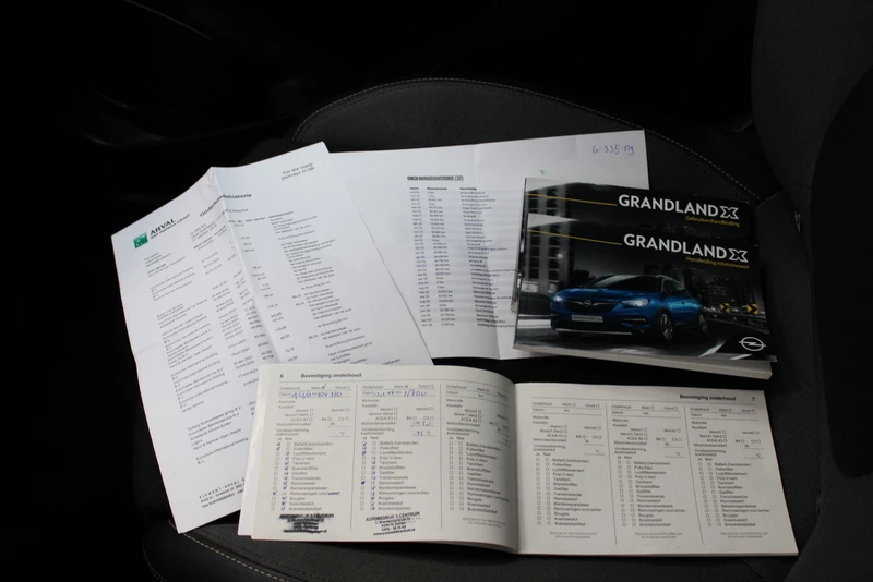 Hoofdafbeelding Opel Grandland X