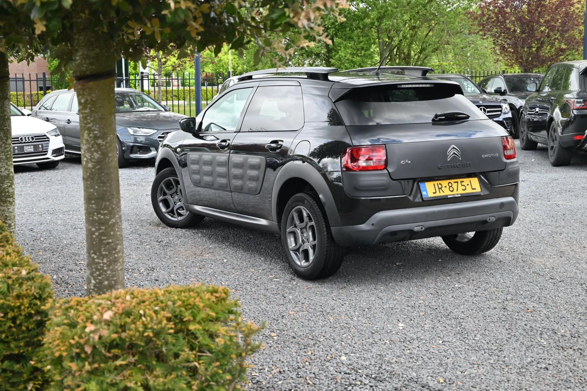 Hoofdafbeelding Citroën C4 Cactus