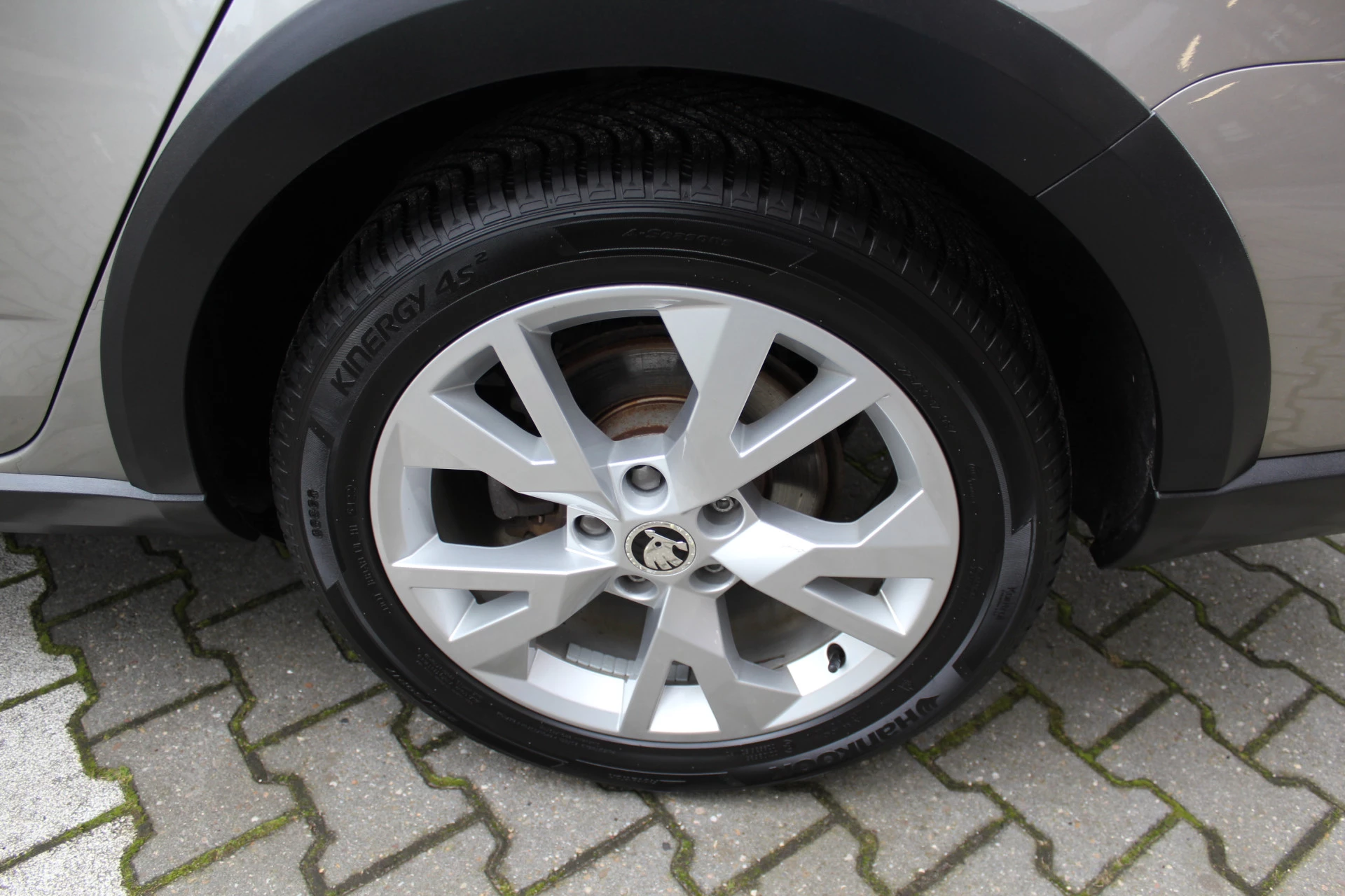Hoofdafbeelding Škoda Octavia