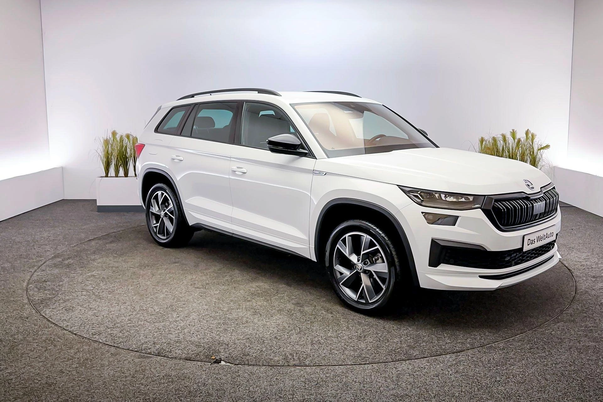 Hoofdafbeelding Škoda Kodiaq
