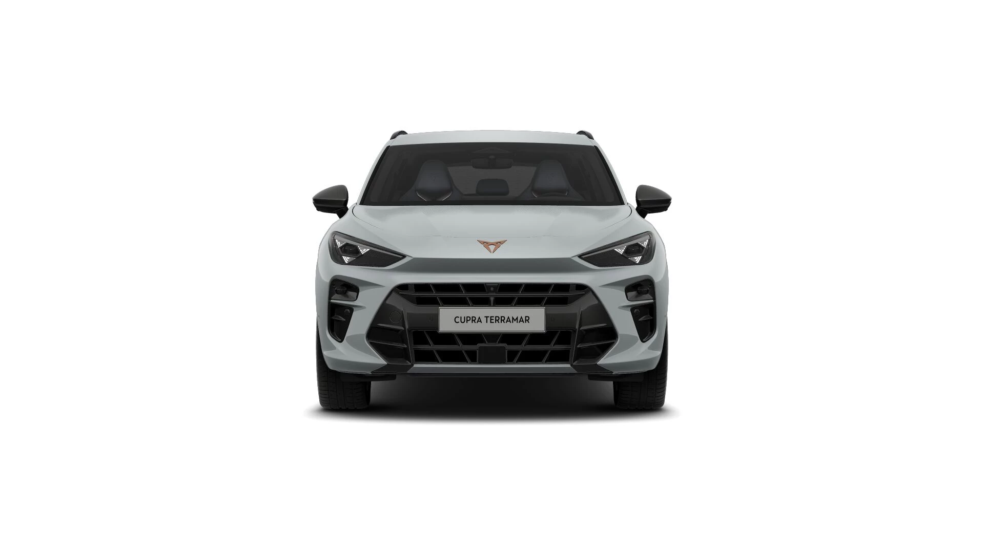 Hoofdafbeelding CUPRA Terramar