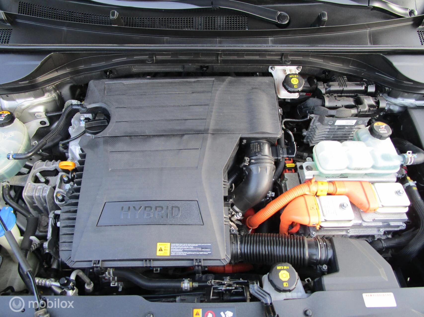 Hoofdafbeelding Kia Niro