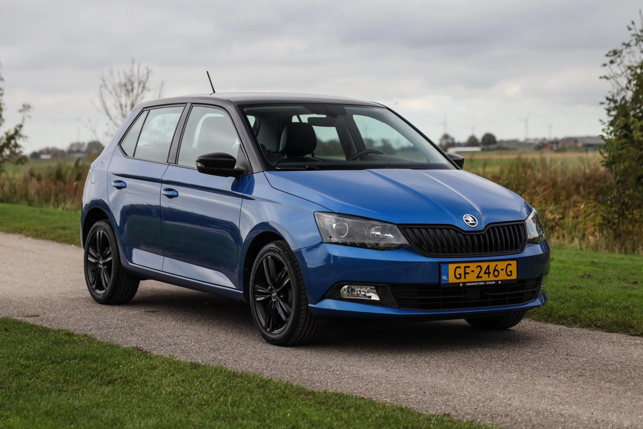 Hoofdafbeelding Škoda Fabia