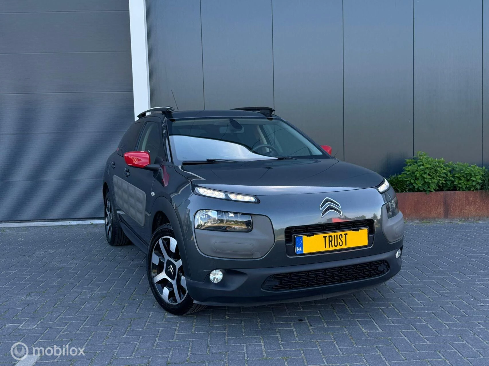 Hoofdafbeelding Citroën C4 Cactus