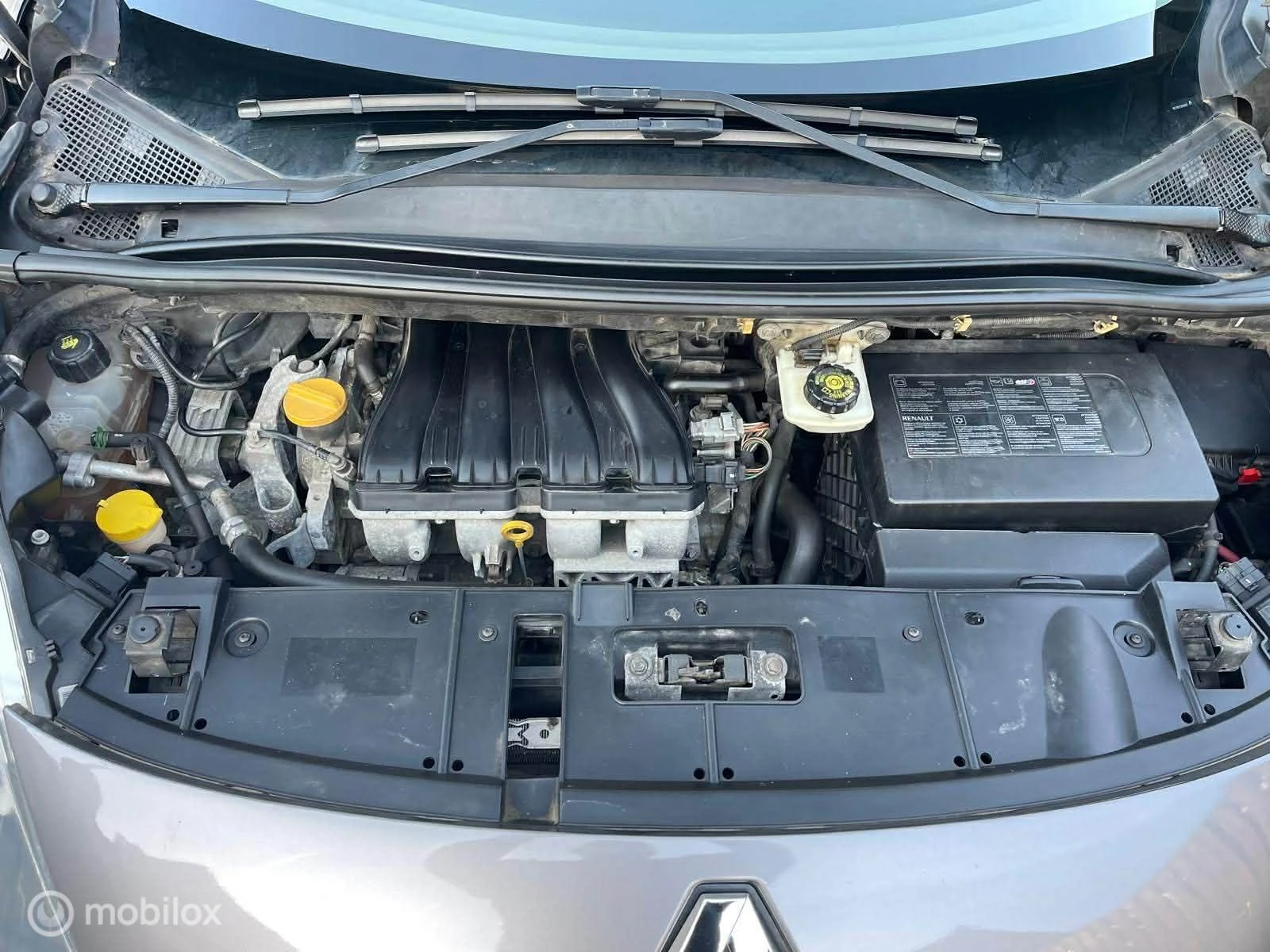 Hoofdafbeelding Renault Scénic