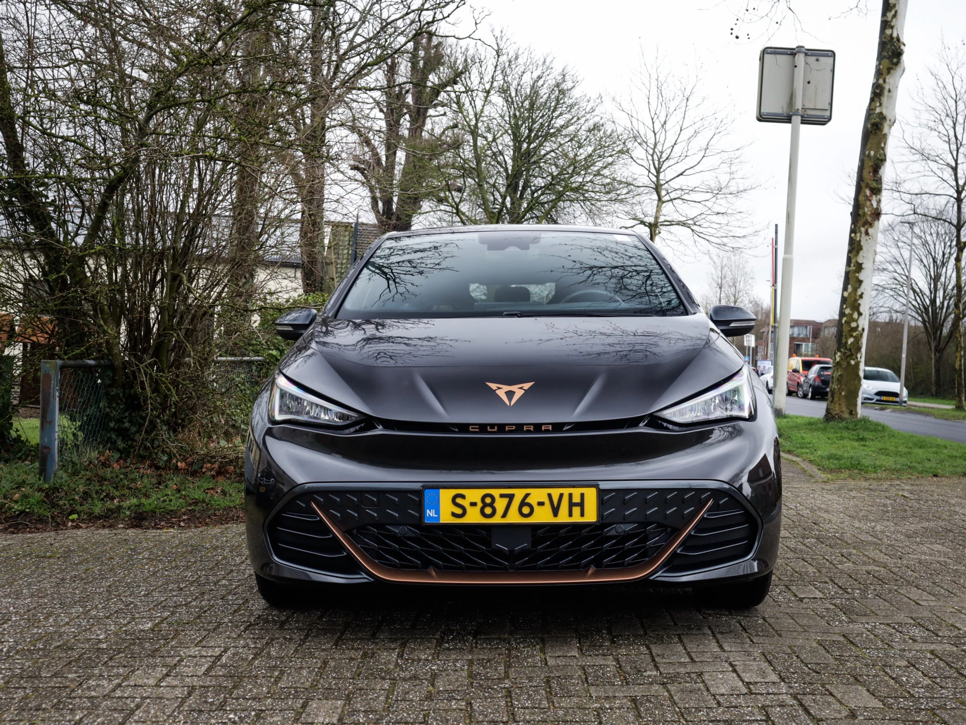 Hoofdafbeelding CUPRA Born