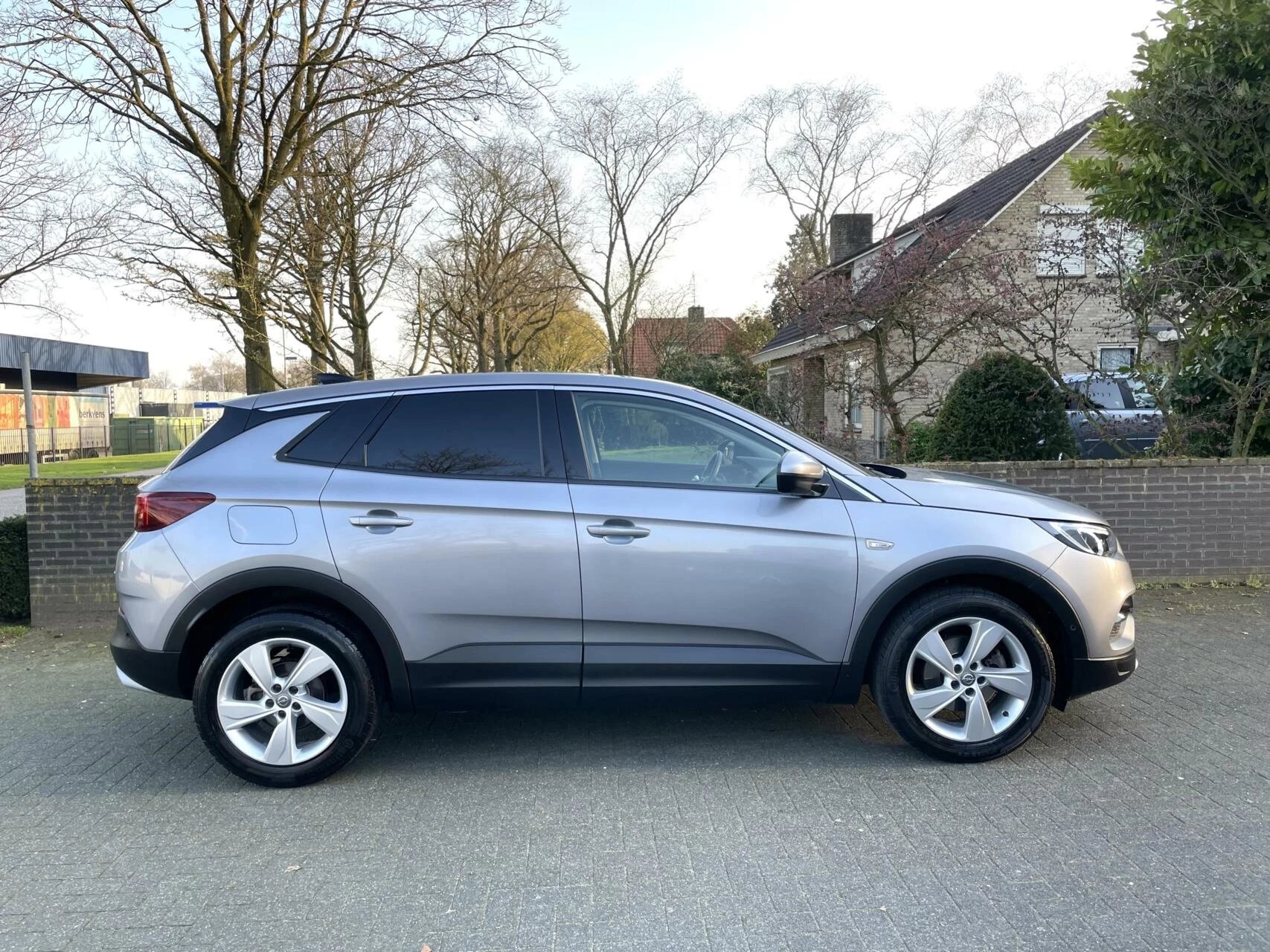 Hoofdafbeelding Opel Grandland X