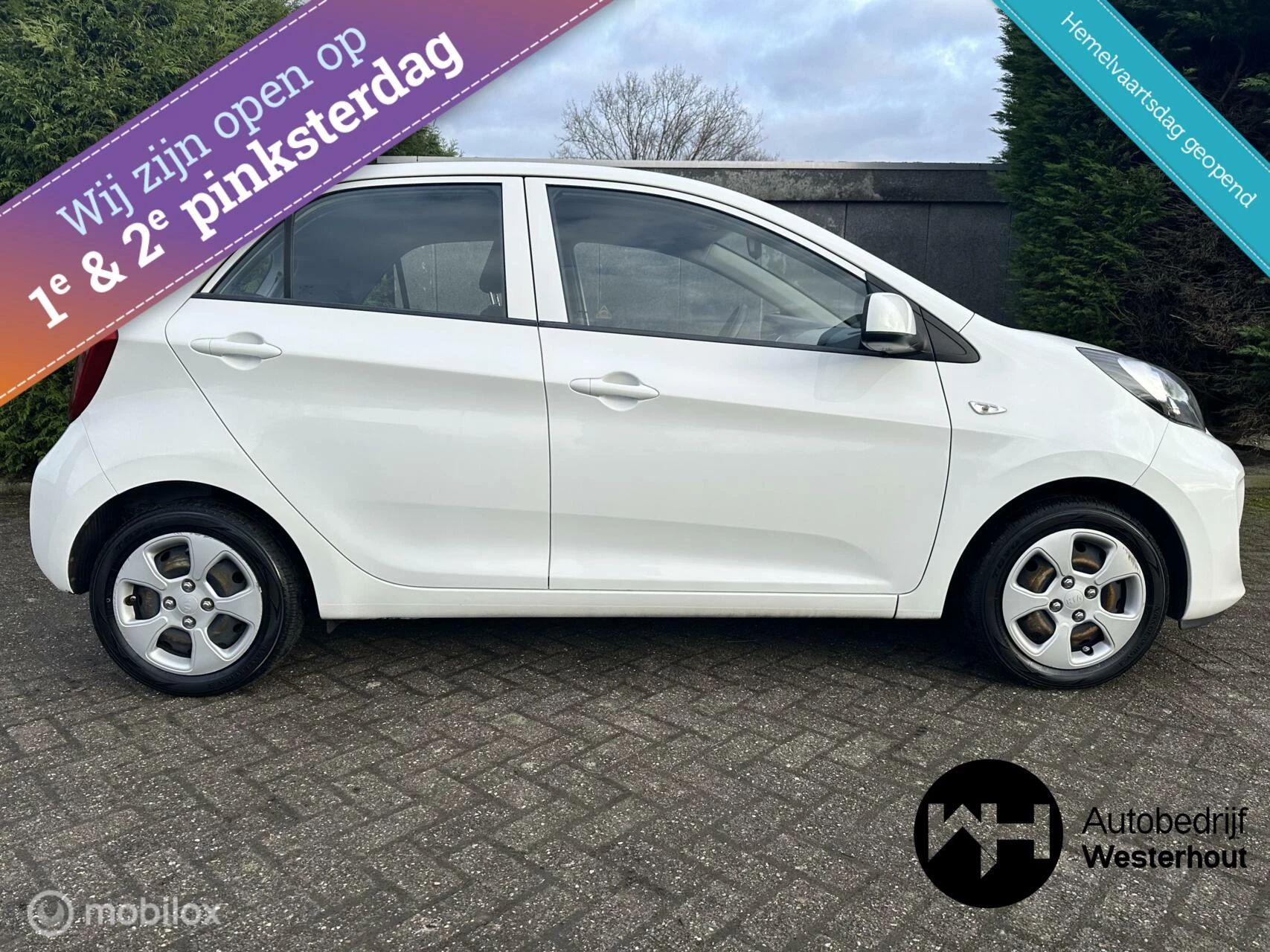 Hoofdafbeelding Kia Picanto