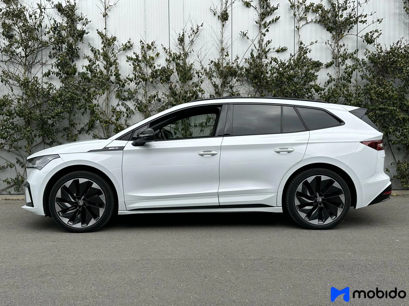 Hoofdafbeelding Škoda Enyaq iV