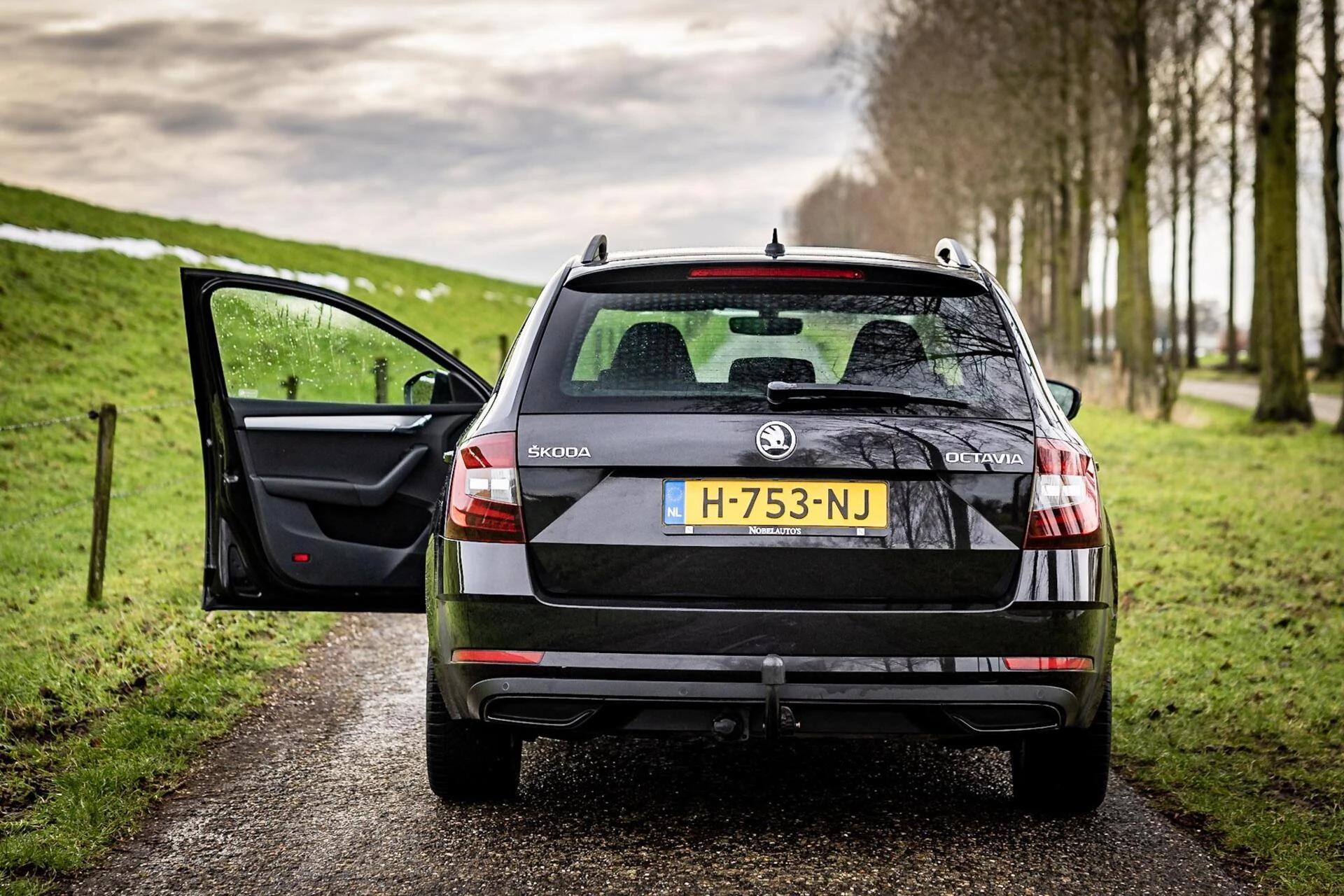 Hoofdafbeelding Škoda Octavia