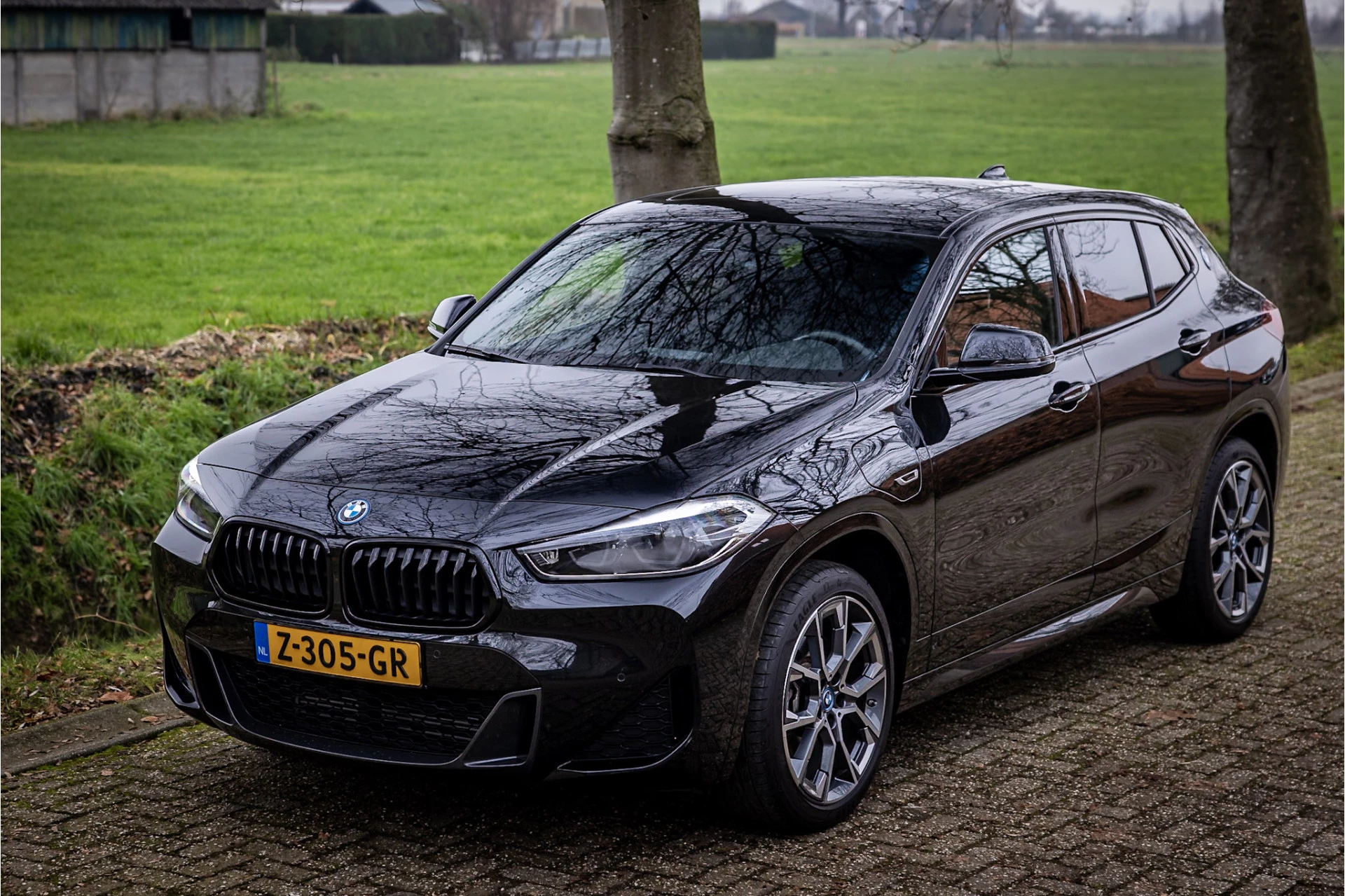 Hoofdafbeelding BMW X2