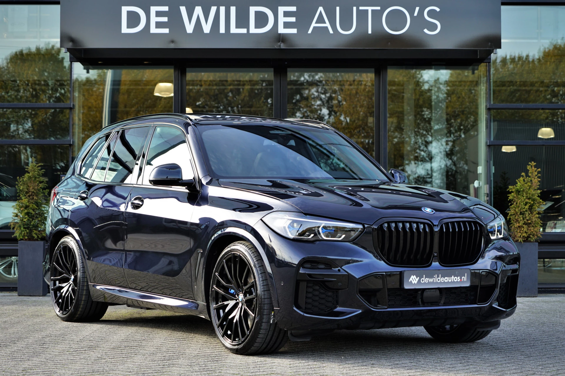 Hoofdafbeelding BMW X5