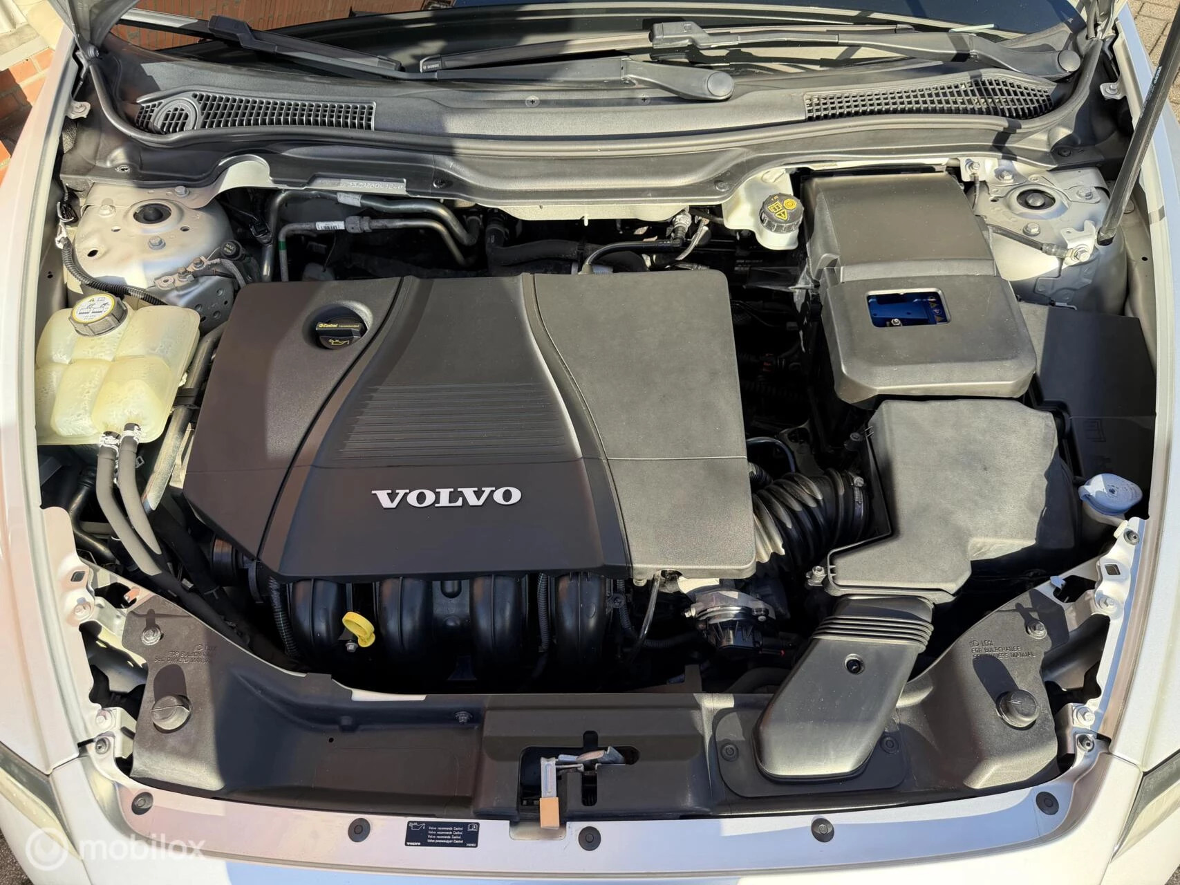 Hoofdafbeelding Volvo V50