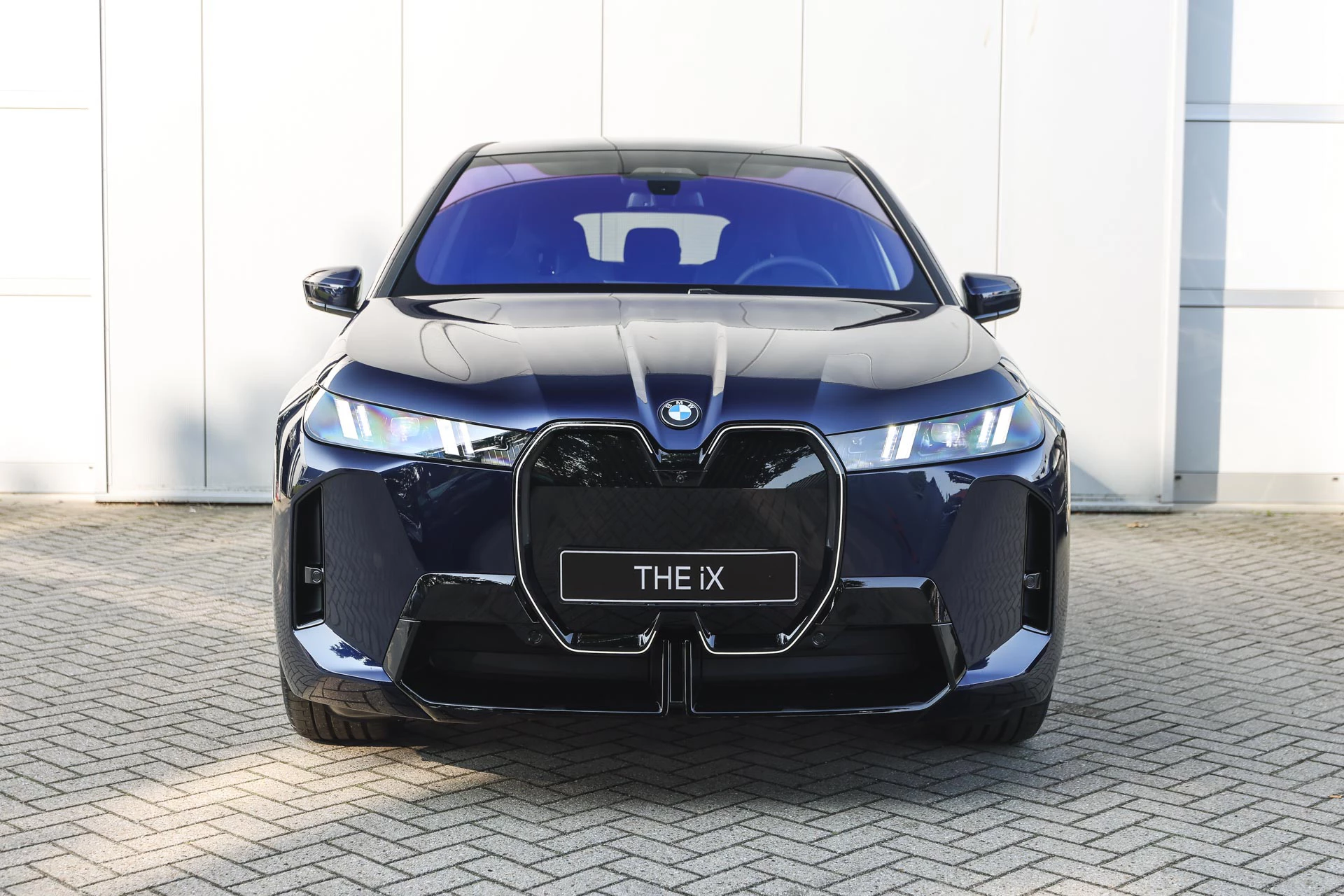 Hoofdafbeelding BMW iX