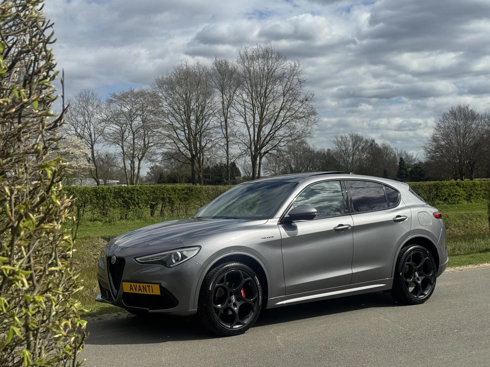 Hoofdafbeelding Alfa Romeo Stelvio