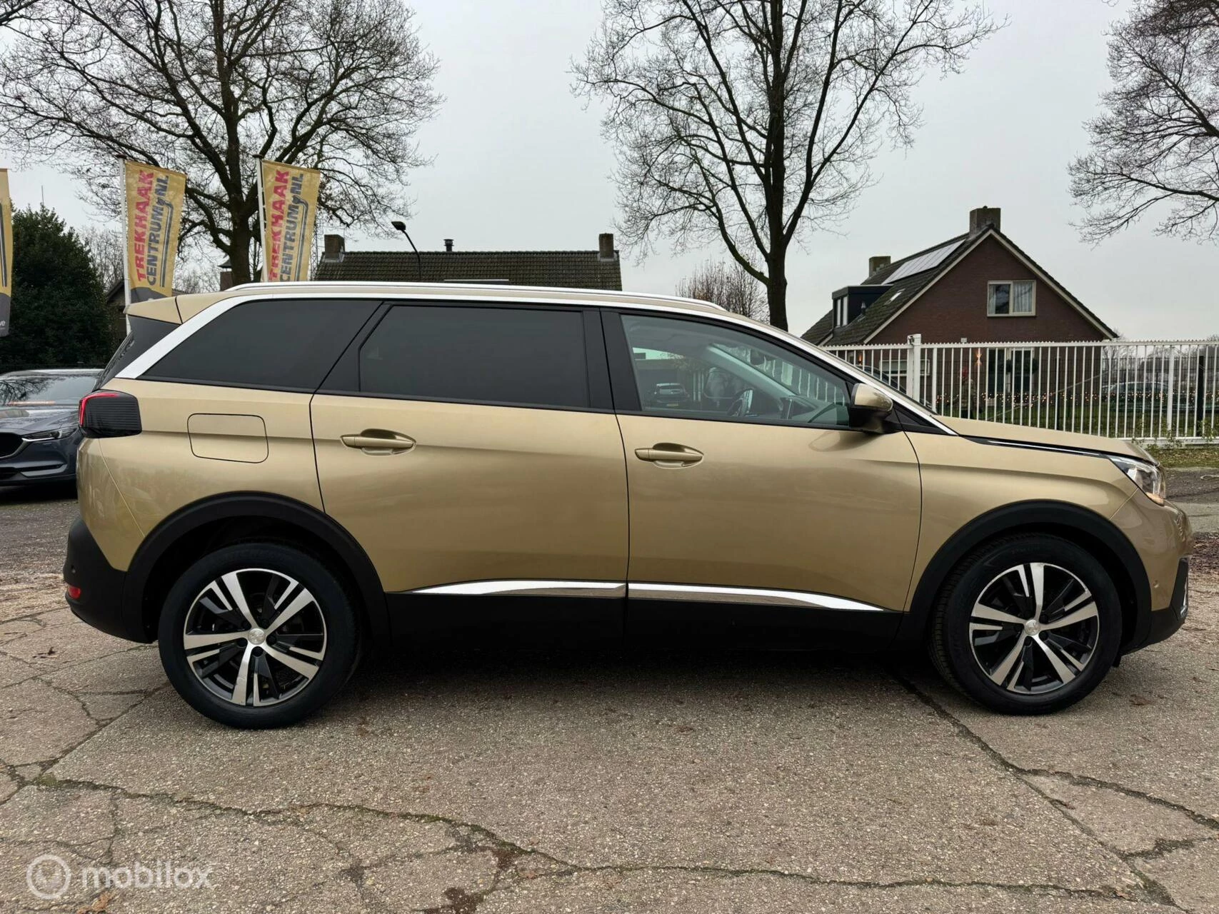 Hoofdafbeelding Peugeot 5008