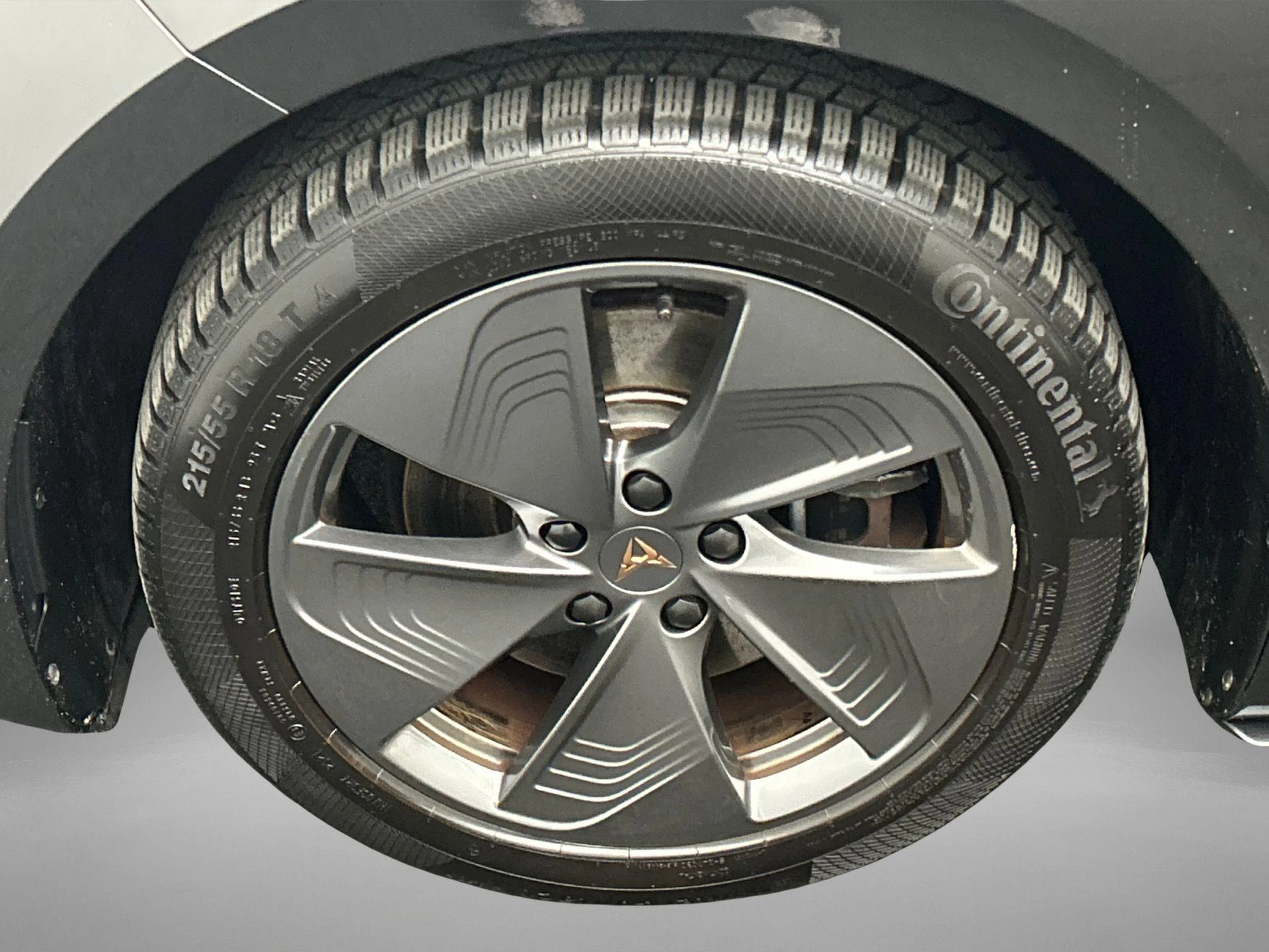 Hoofdafbeelding CUPRA Born