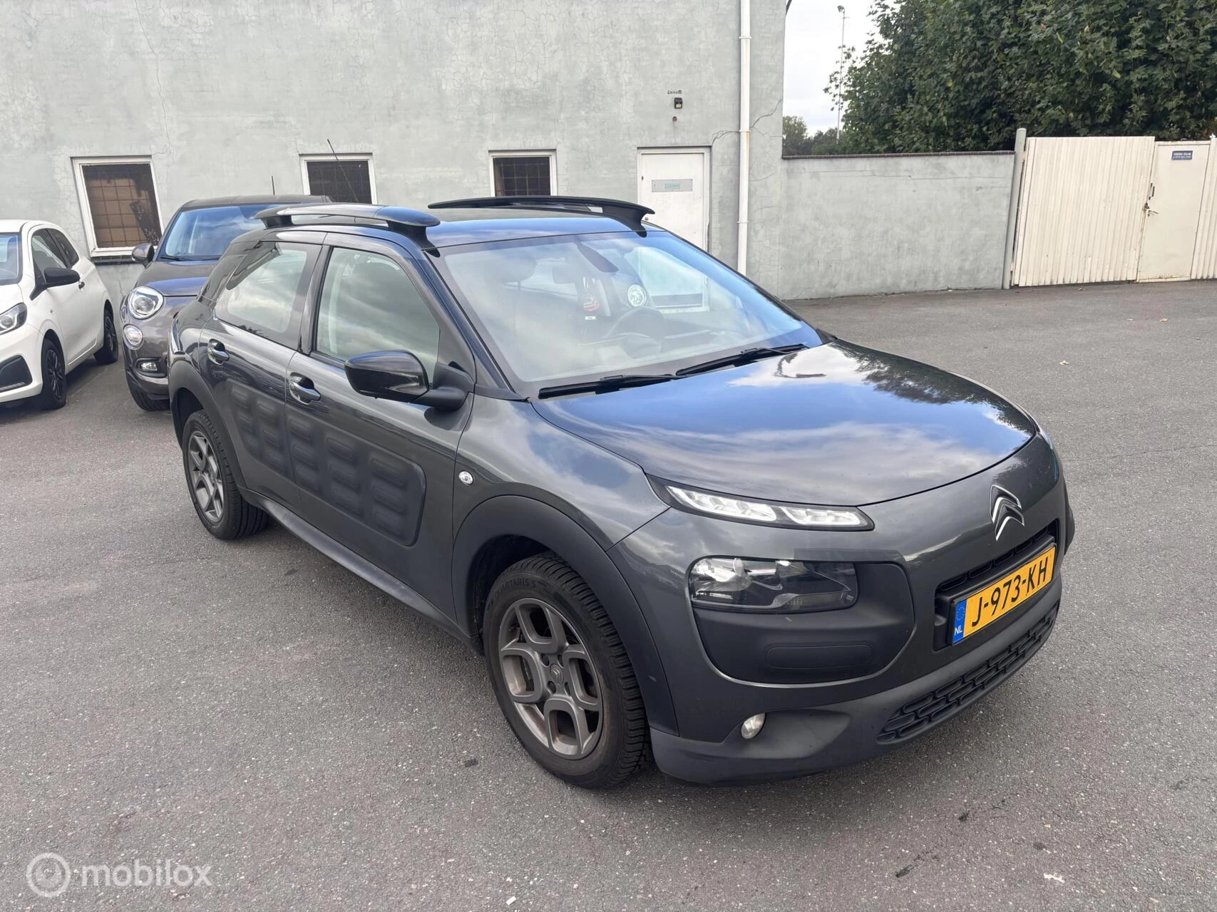 Hoofdafbeelding Citroën C4 Cactus