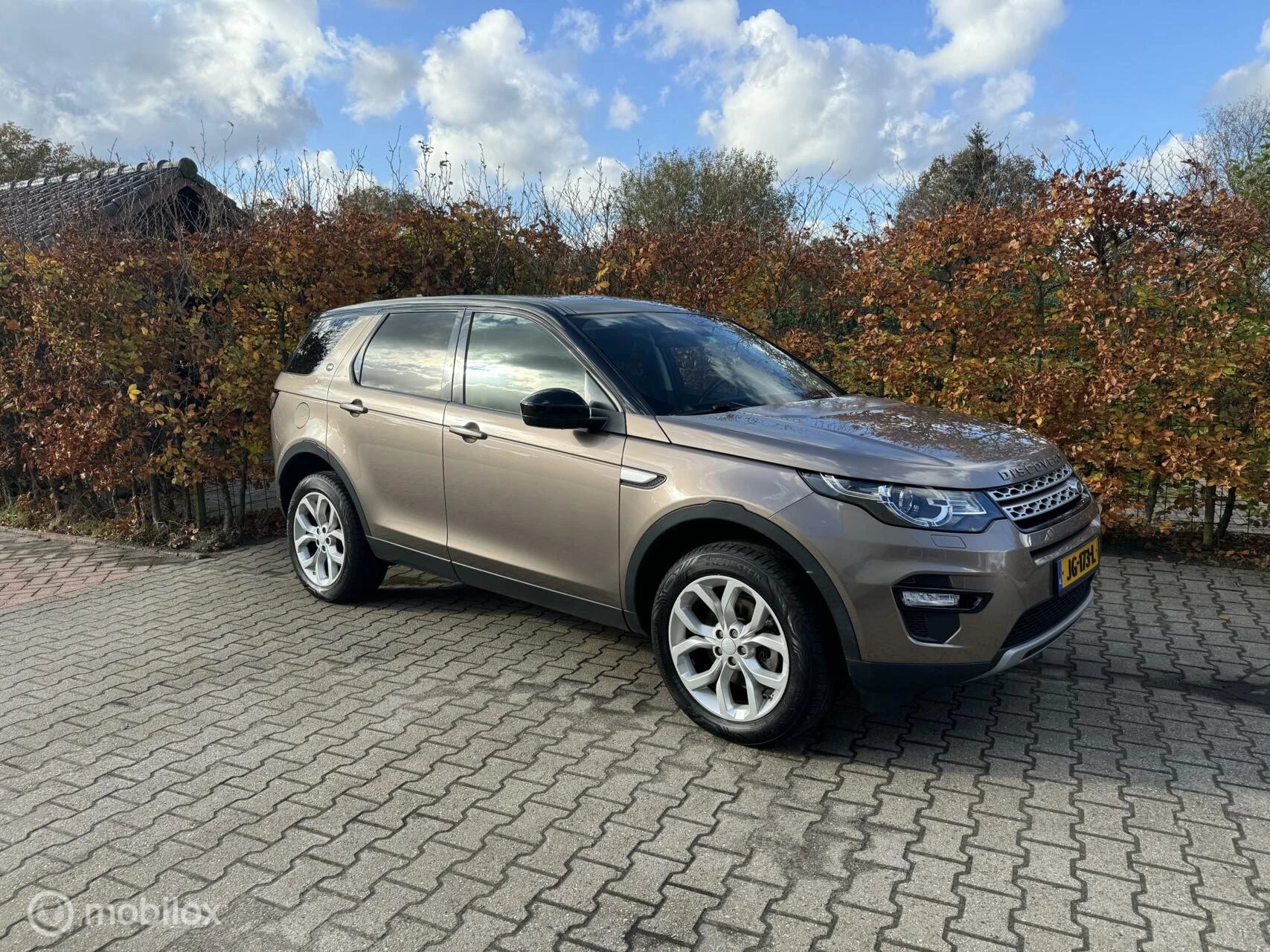 Hoofdafbeelding Land Rover Discovery Sport