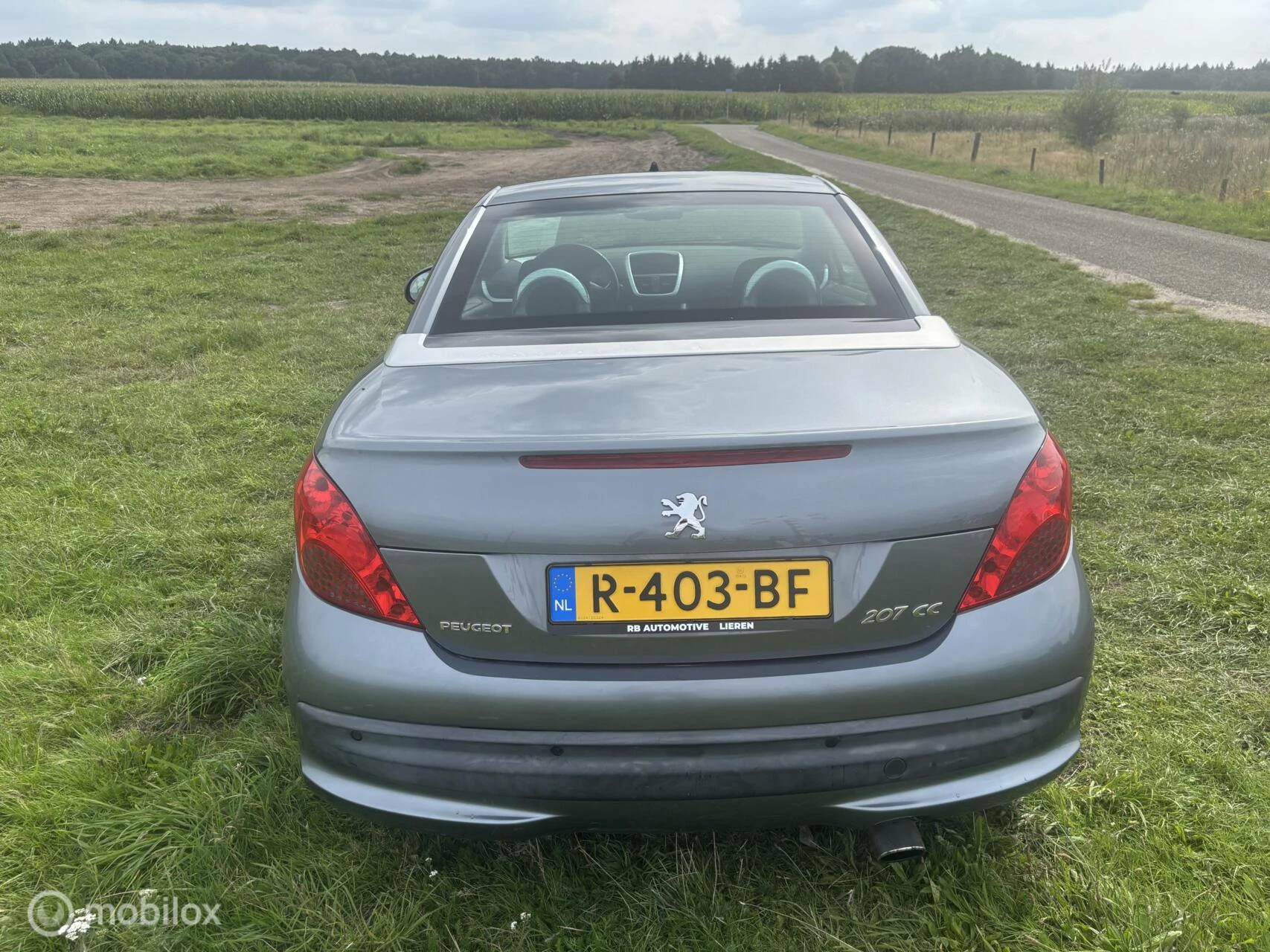 Hoofdafbeelding Peugeot 207