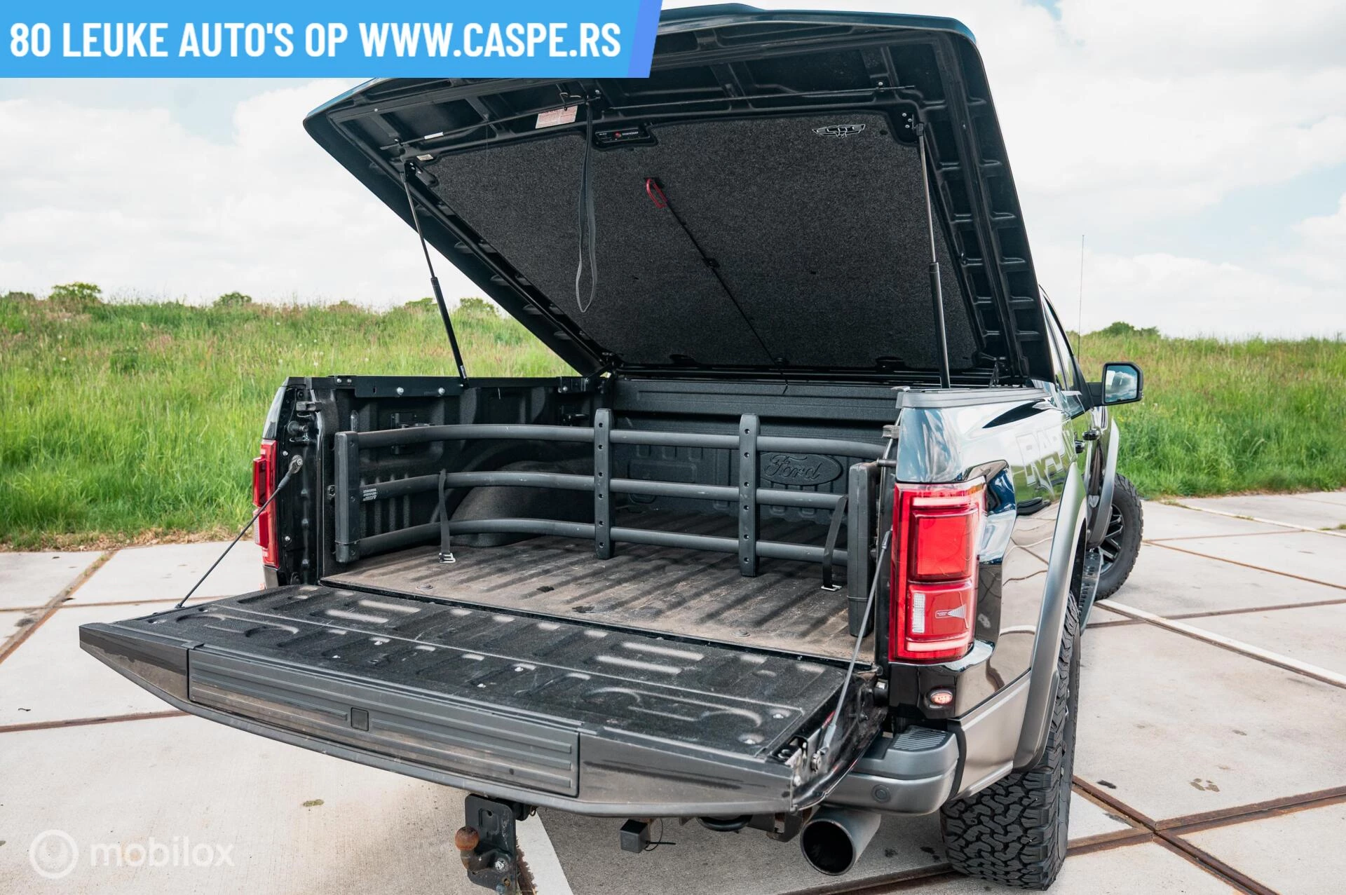 Hoofdafbeelding Ford F-150