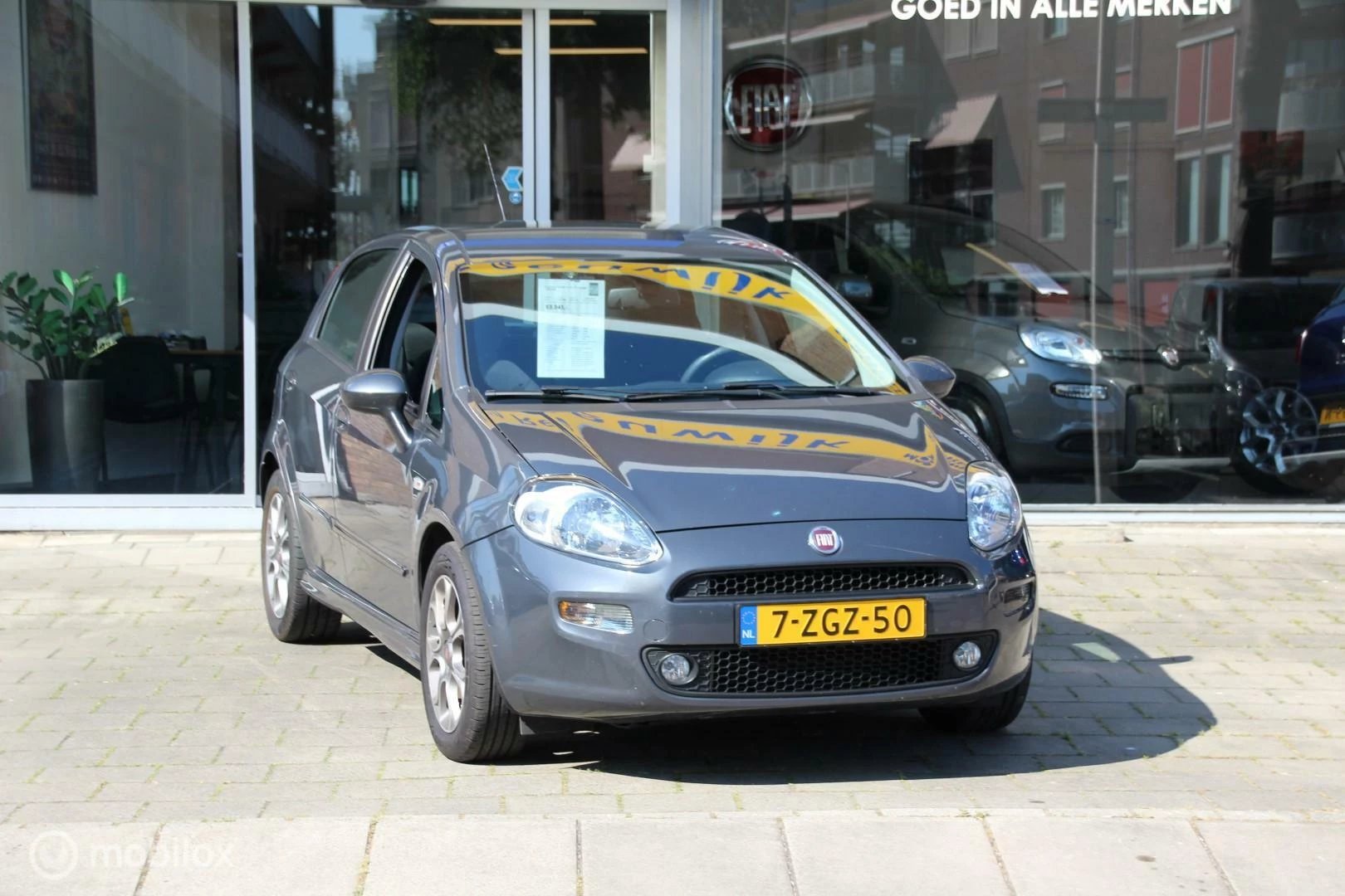 Hoofdafbeelding Fiat Punto