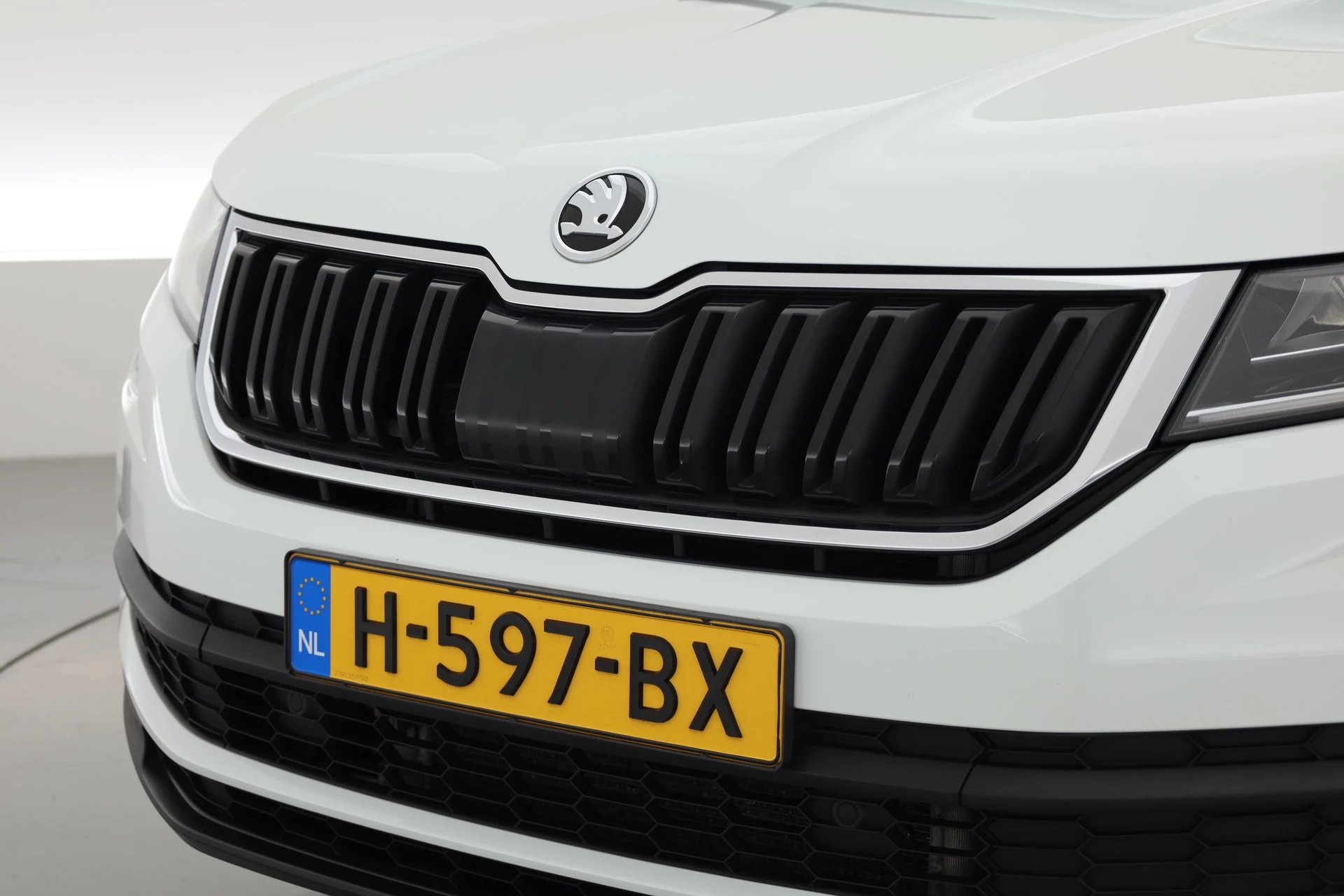 Hoofdafbeelding Škoda Kodiaq