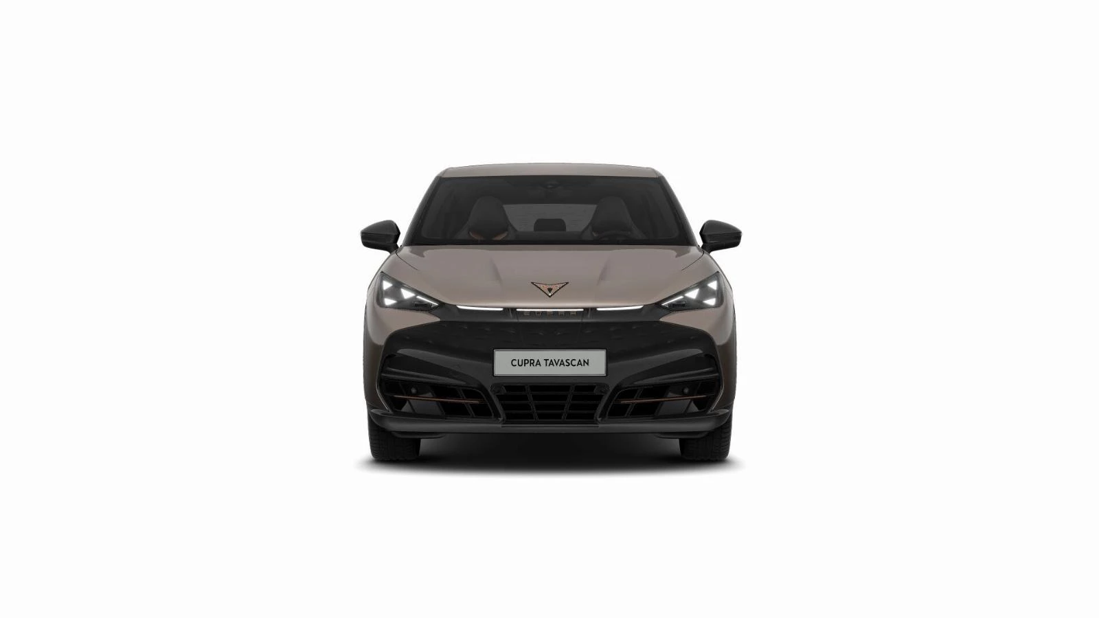 Hoofdafbeelding CUPRA Tavascan