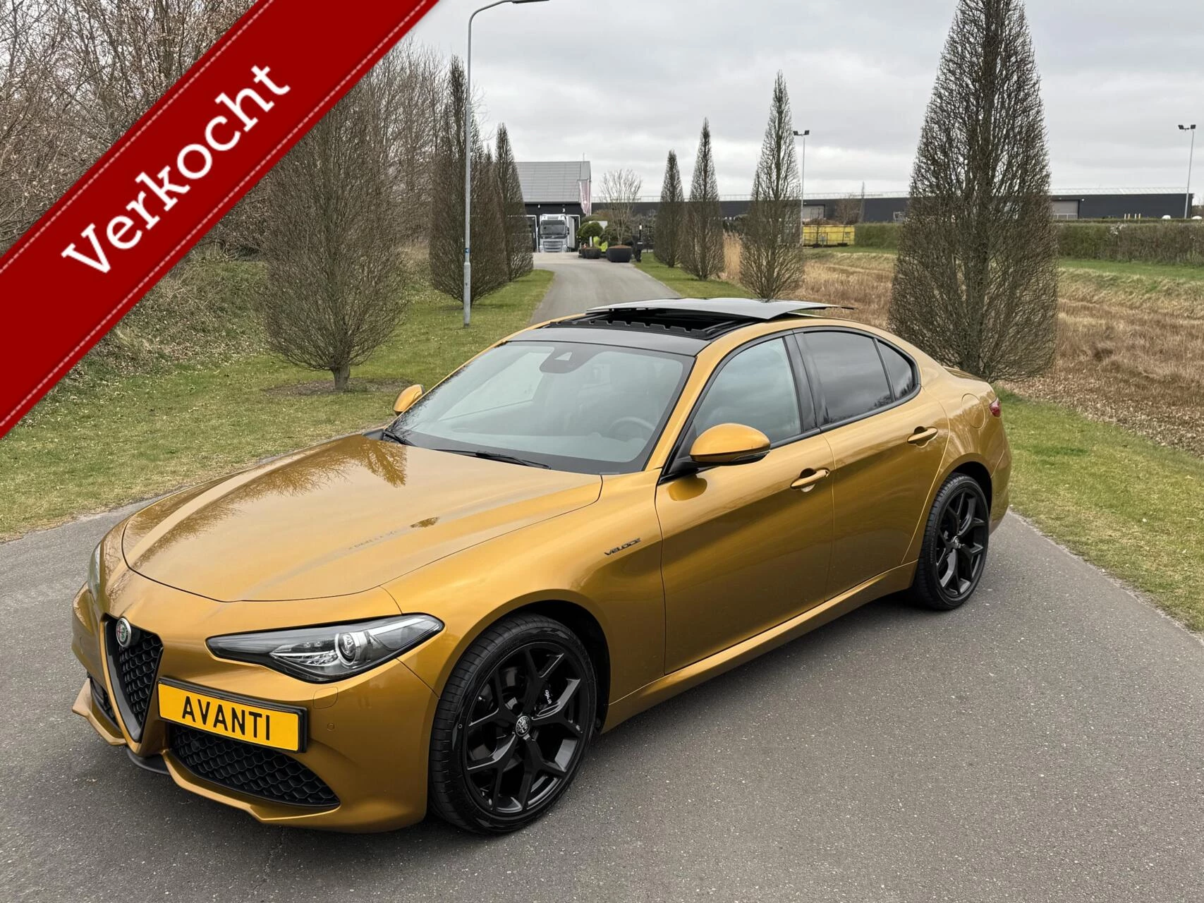 Hoofdafbeelding Alfa Romeo Giulia
