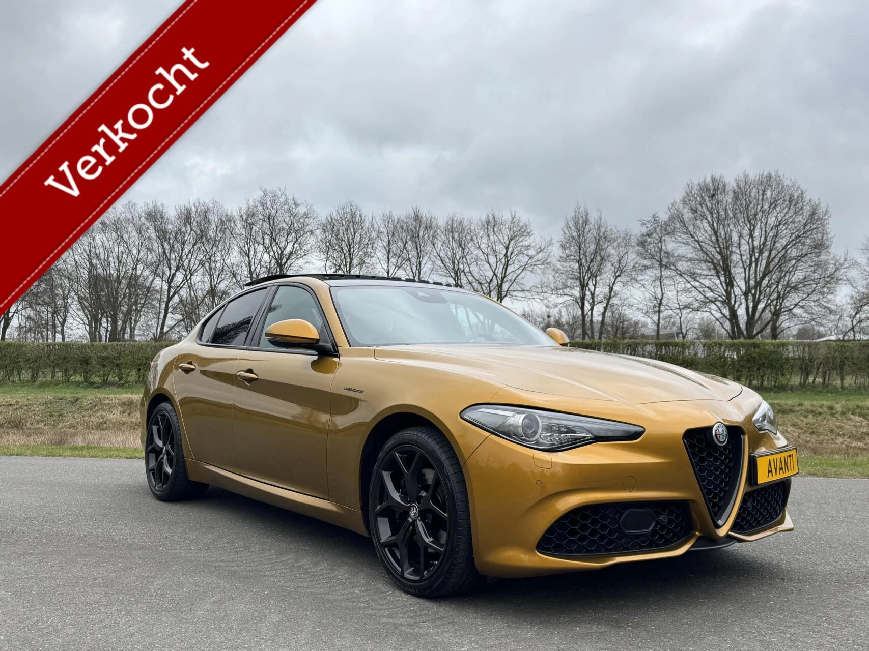 Hoofdafbeelding Alfa Romeo Giulia