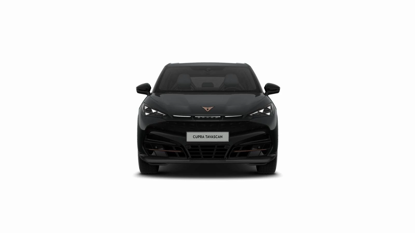 Hoofdafbeelding CUPRA Tavascan