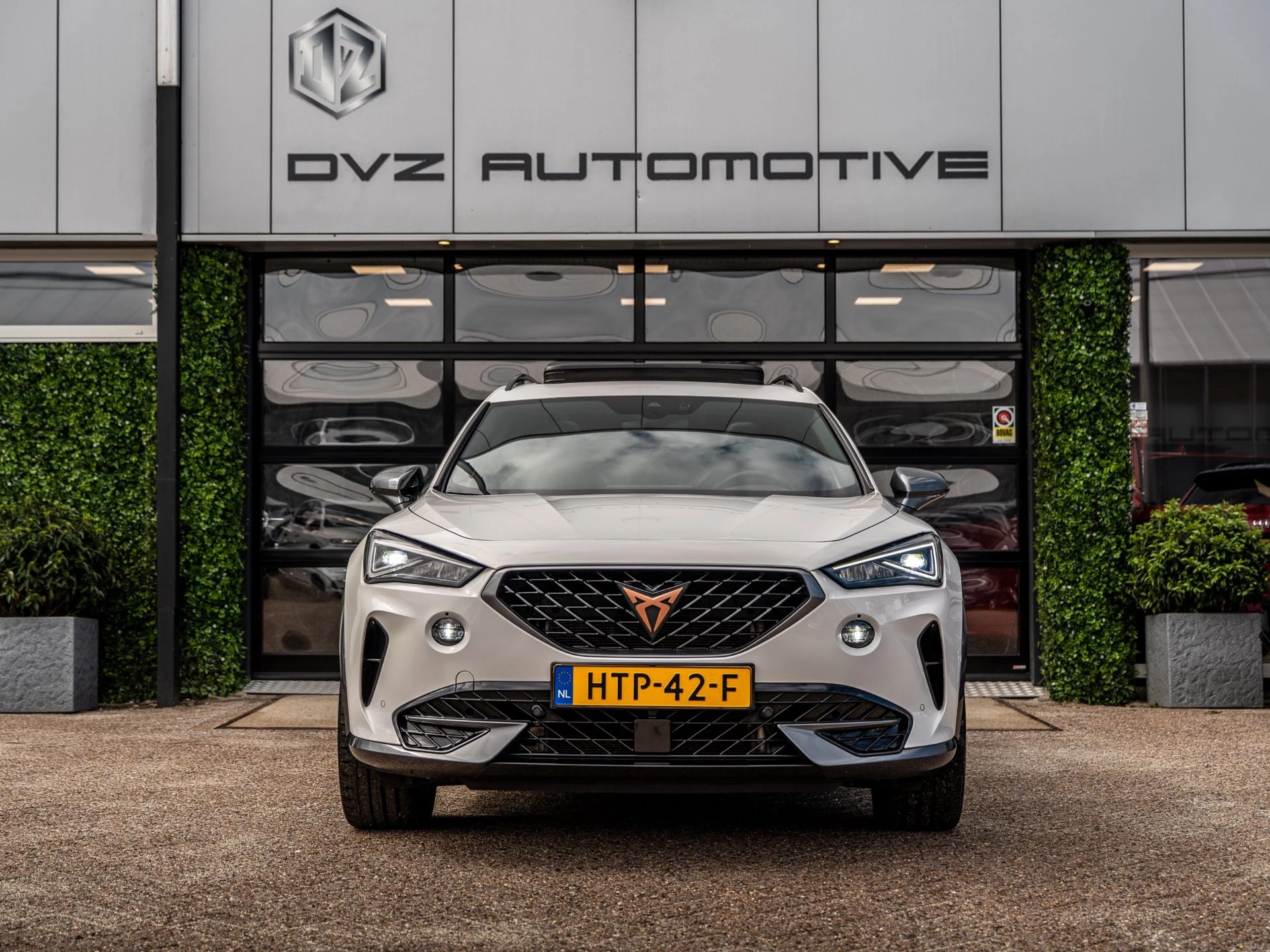 Hoofdafbeelding CUPRA Formentor