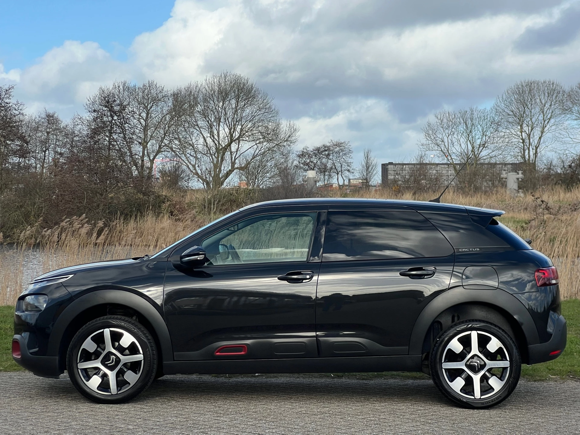 Hoofdafbeelding Citroën C4 Cactus