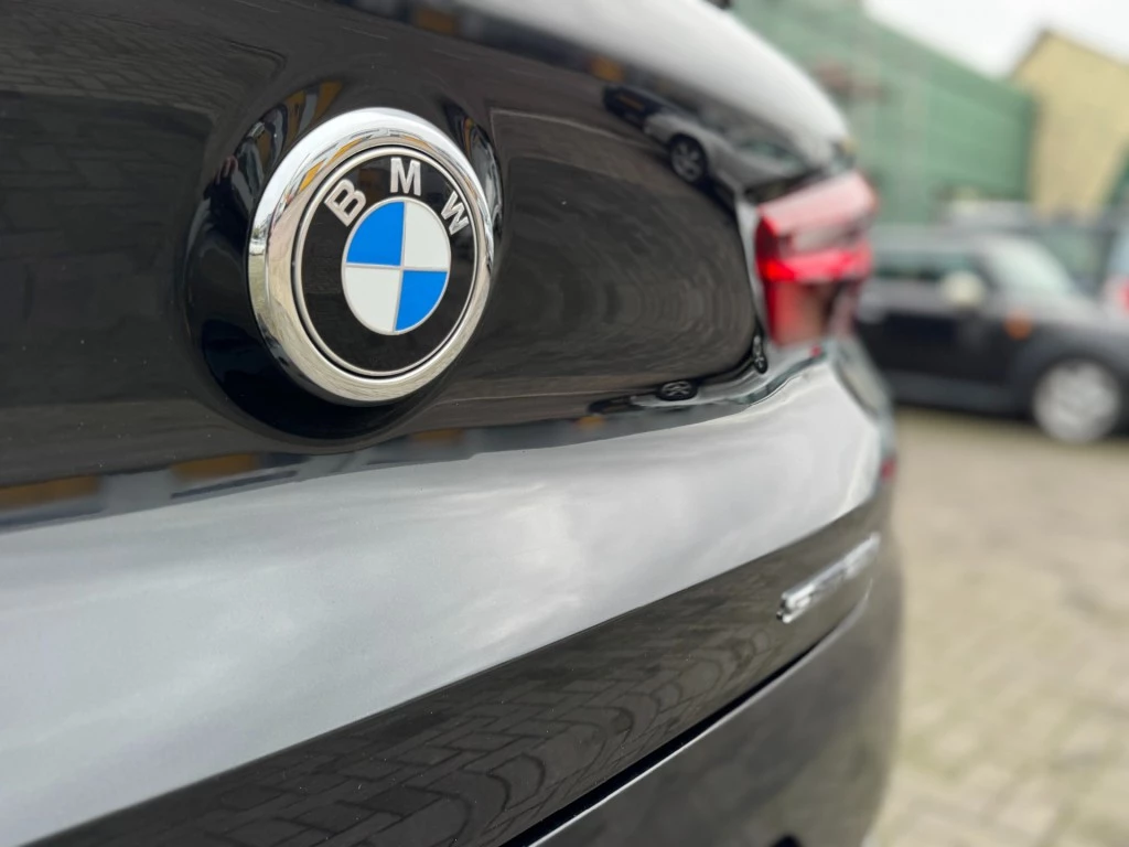 Hoofdafbeelding BMW X2