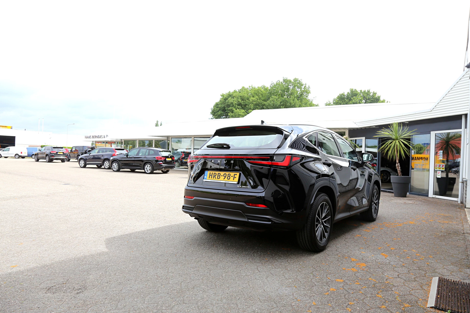Hoofdafbeelding Lexus NX