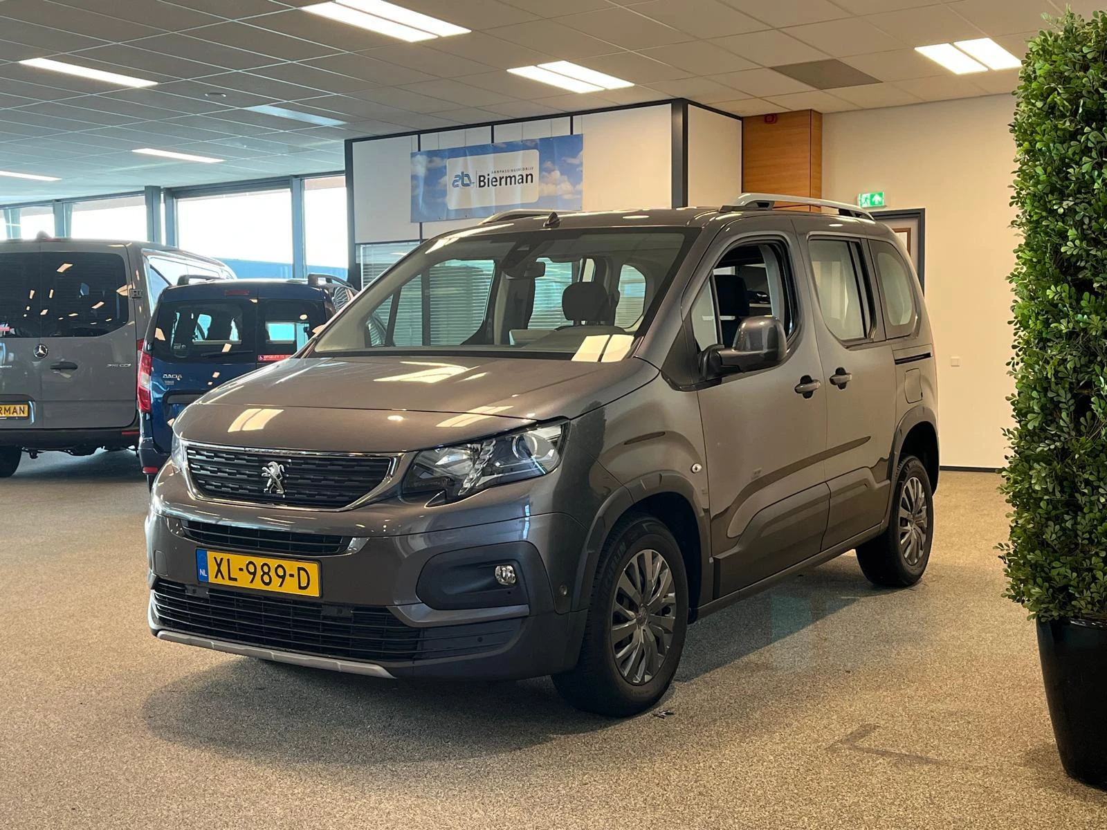 Hoofdafbeelding Peugeot Rifter