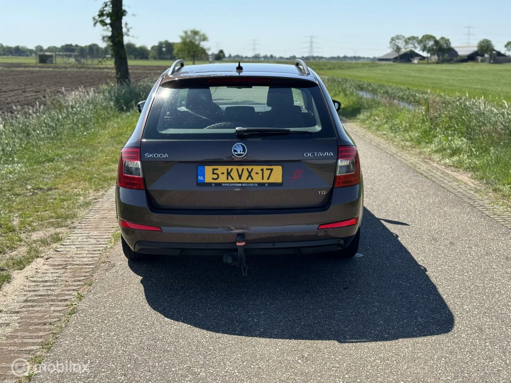 Hoofdafbeelding Škoda Octavia