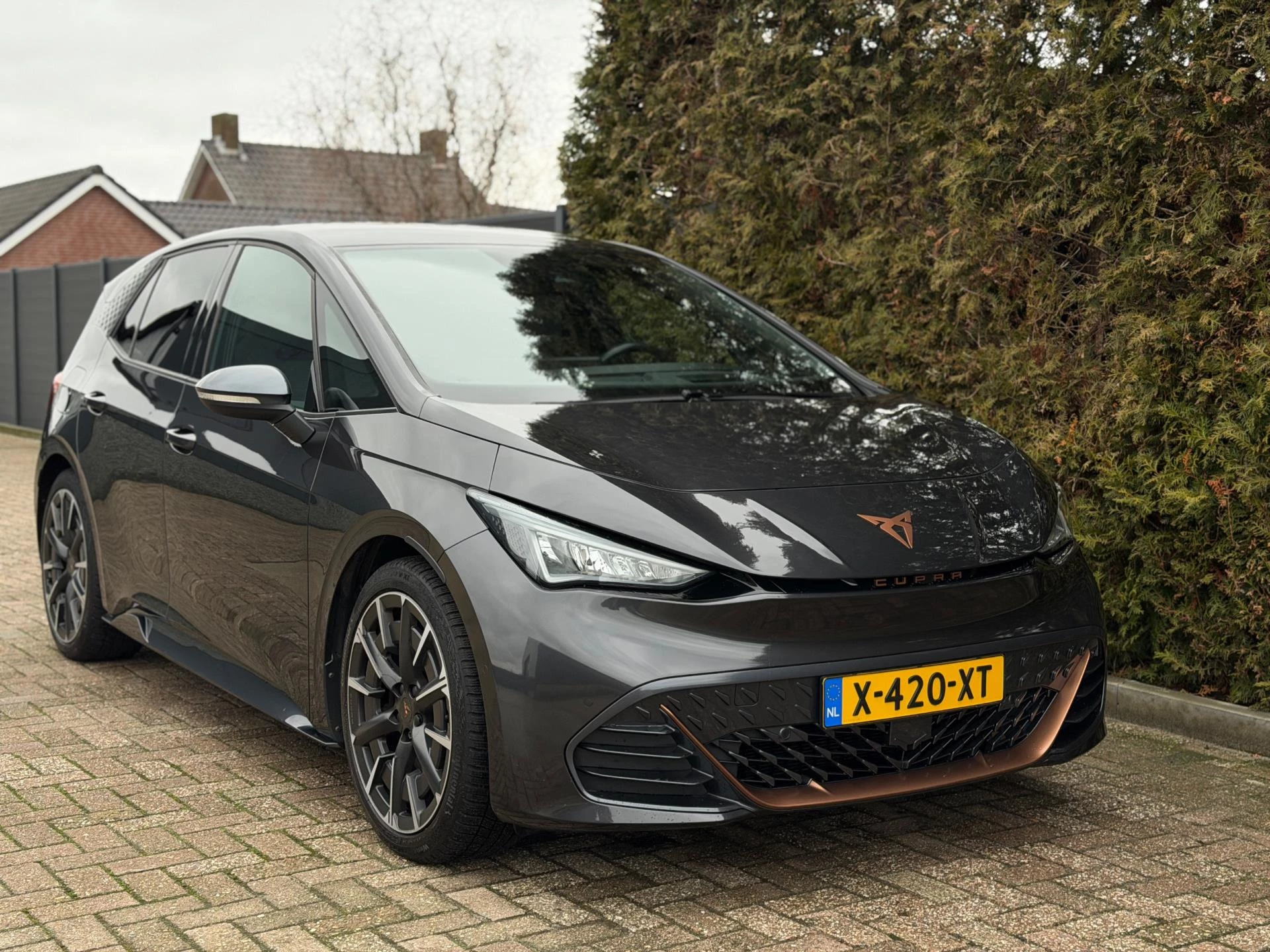 Hoofdafbeelding CUPRA Born