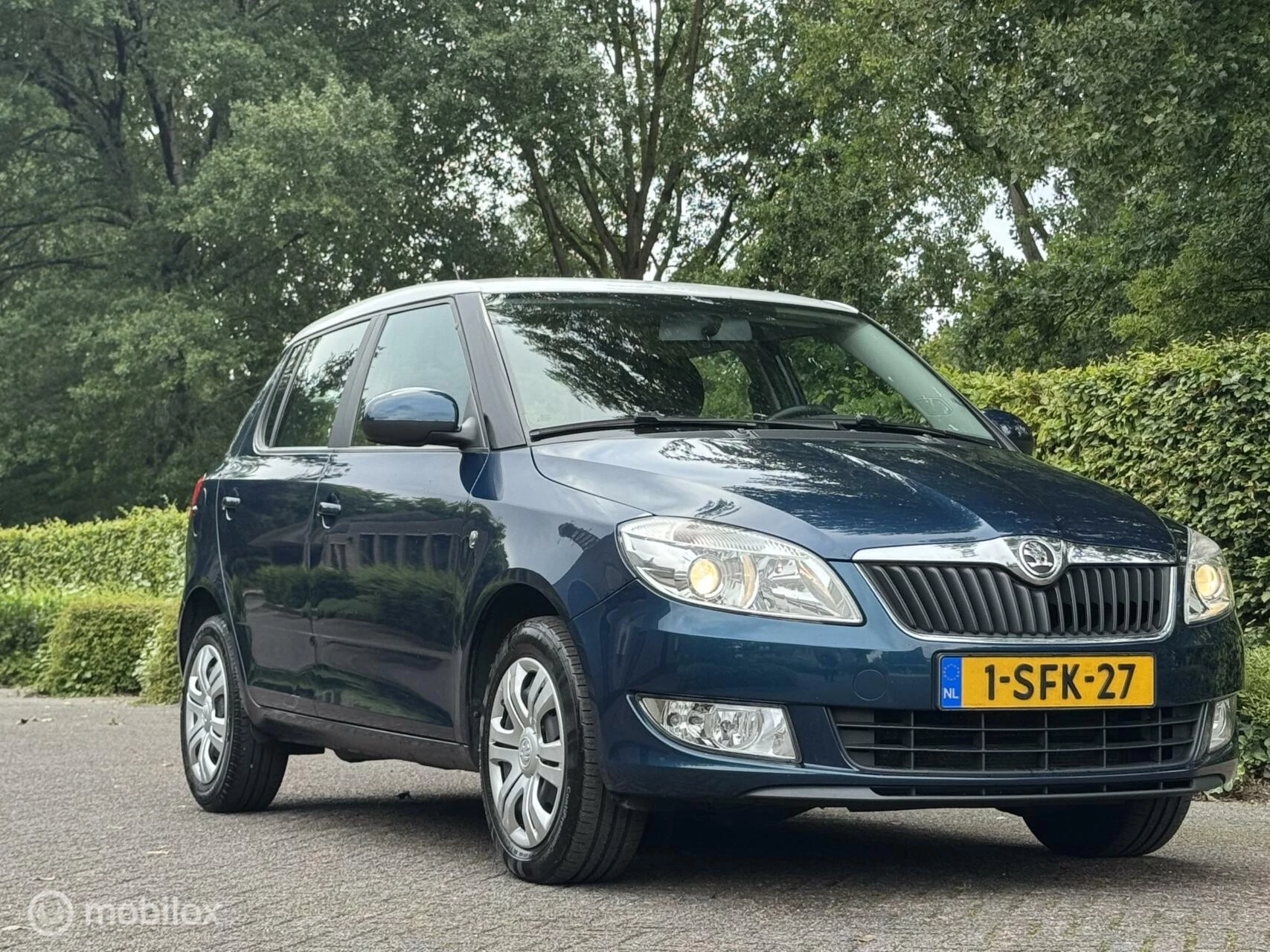 Hoofdafbeelding Škoda Fabia