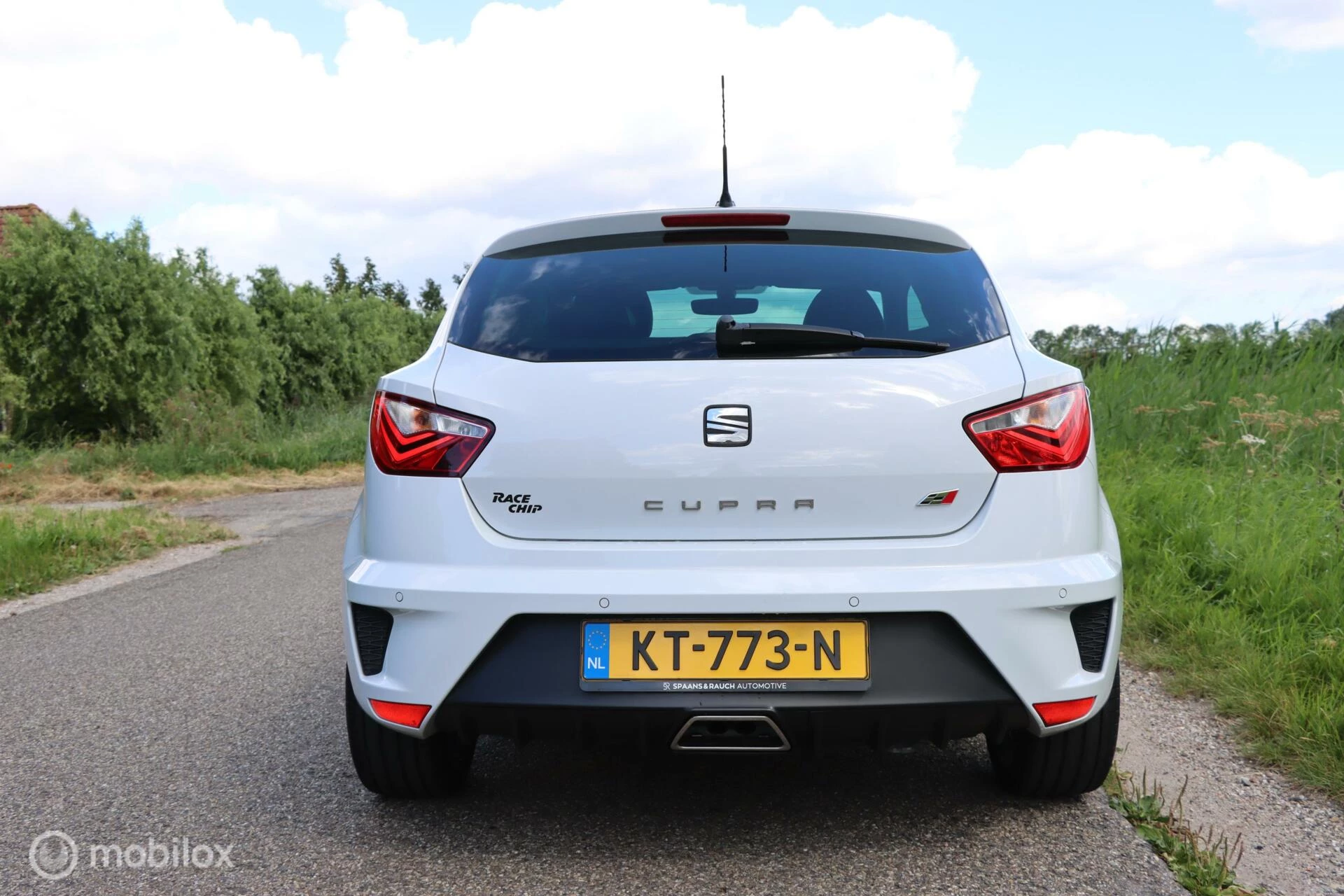 Hoofdafbeelding SEAT Ibiza