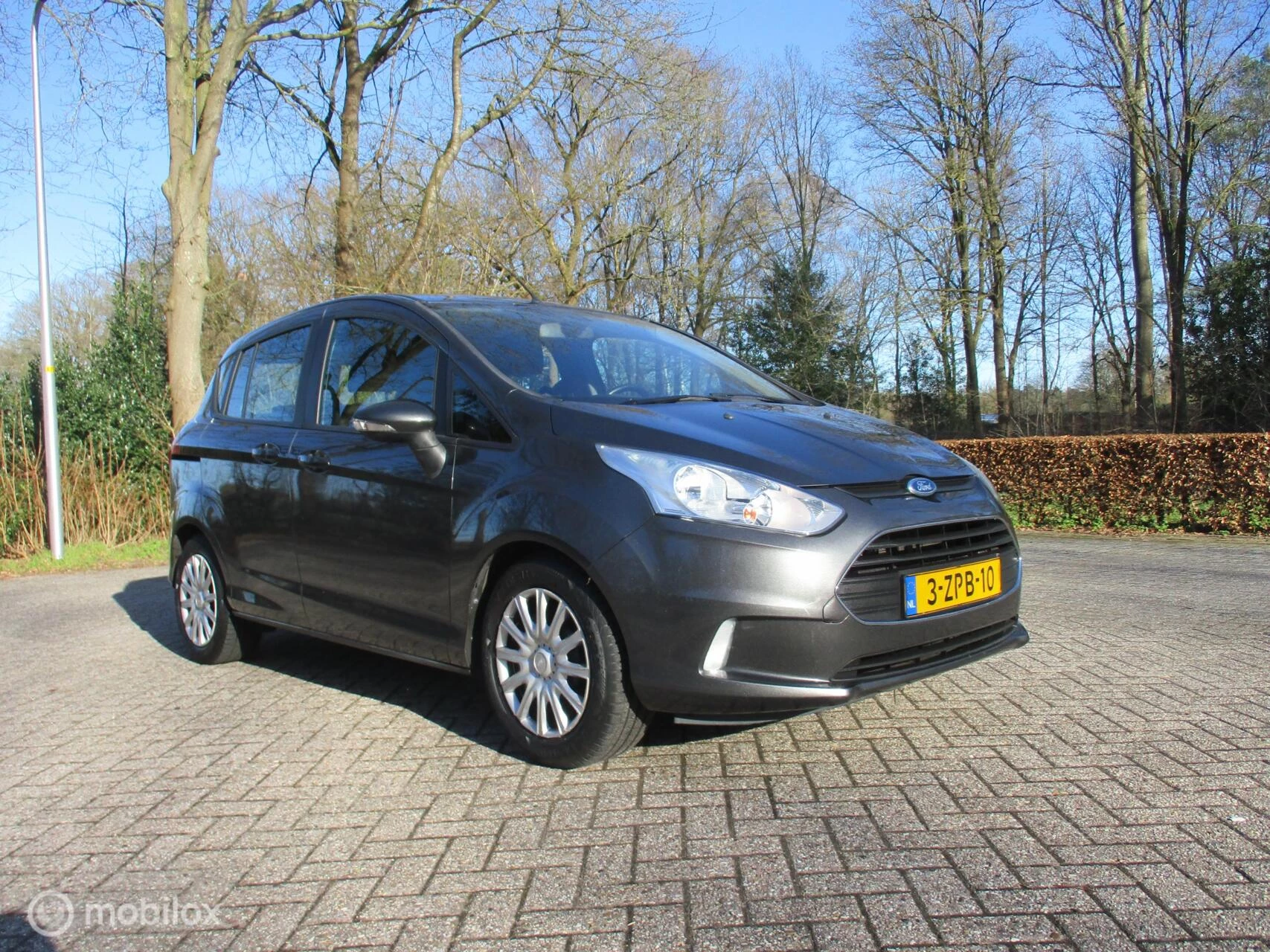 Hoofdafbeelding Ford B-MAX