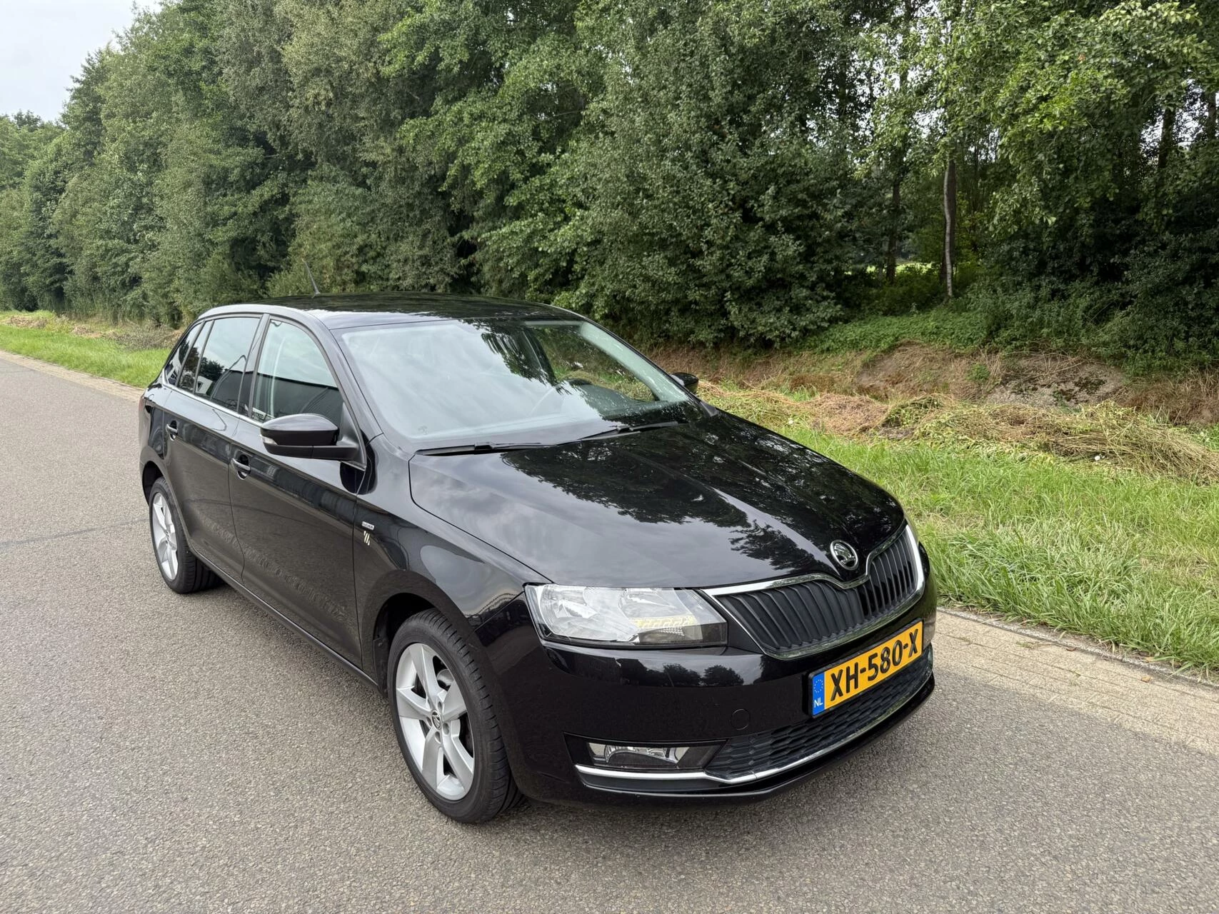 Hoofdafbeelding Škoda Rapid