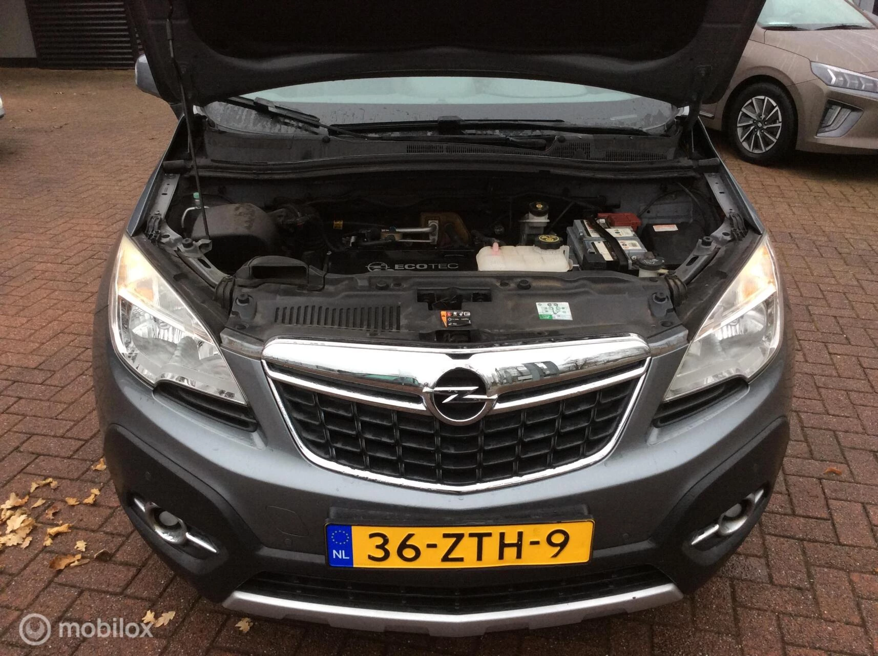 Hoofdafbeelding Opel Mokka