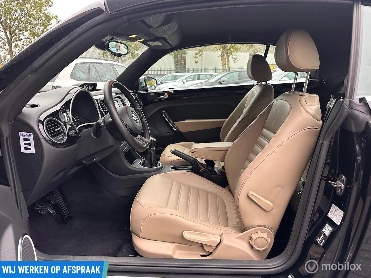 Hoofdafbeelding Volkswagen Beetle
