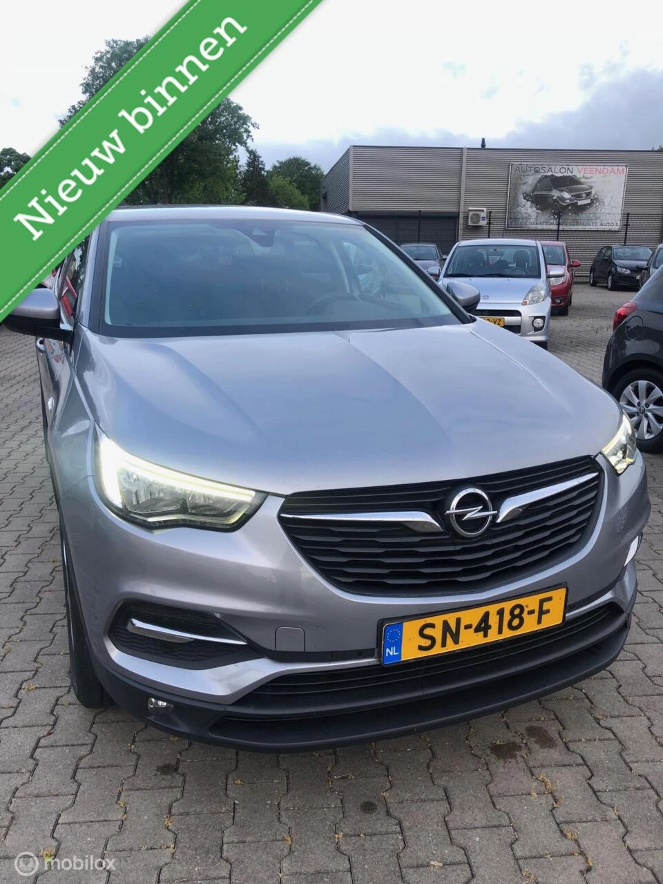 Hoofdafbeelding Opel Grandland X