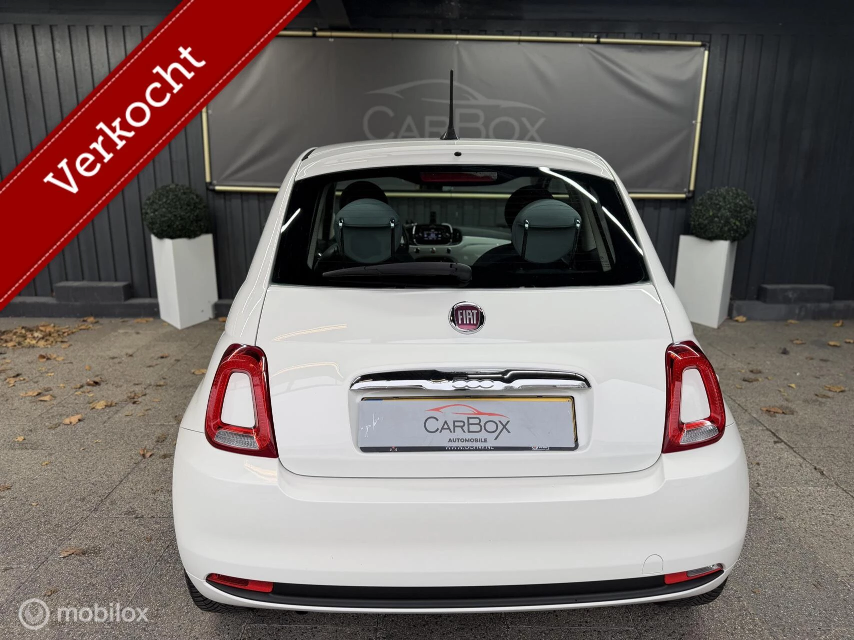 Hoofdafbeelding Fiat 500