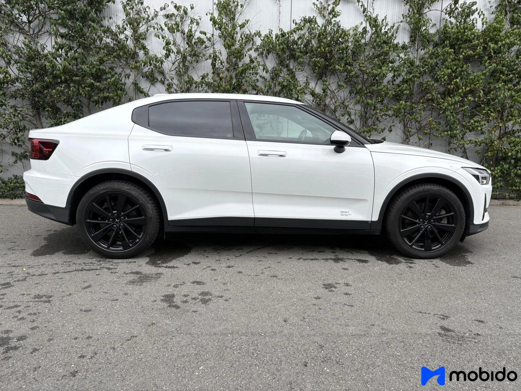 Hoofdafbeelding Polestar 2