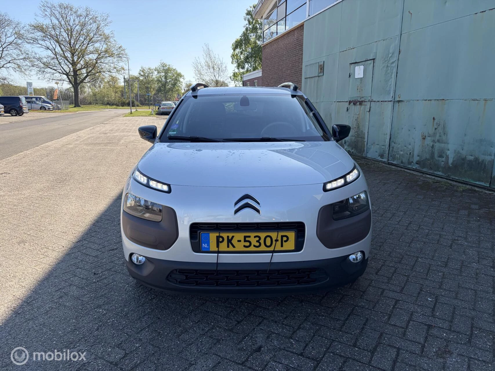 Hoofdafbeelding Citroën C4 Cactus