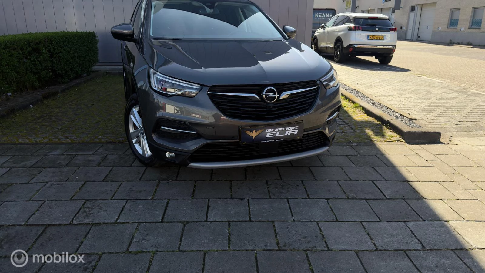 Hoofdafbeelding Opel Grandland X